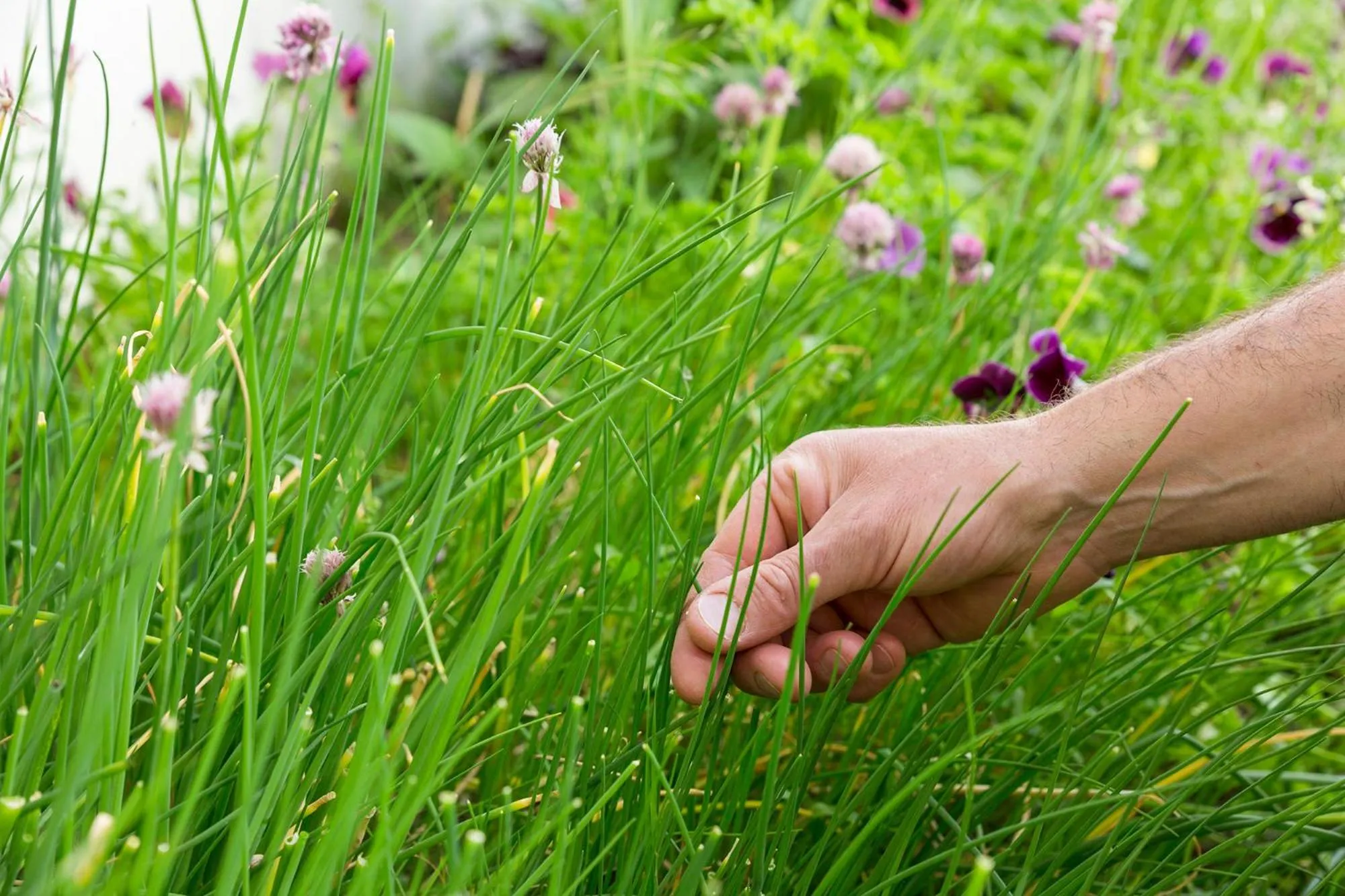 Natural landscape in Chalet-Hôtel Le Beausoleil, The Originals Relais