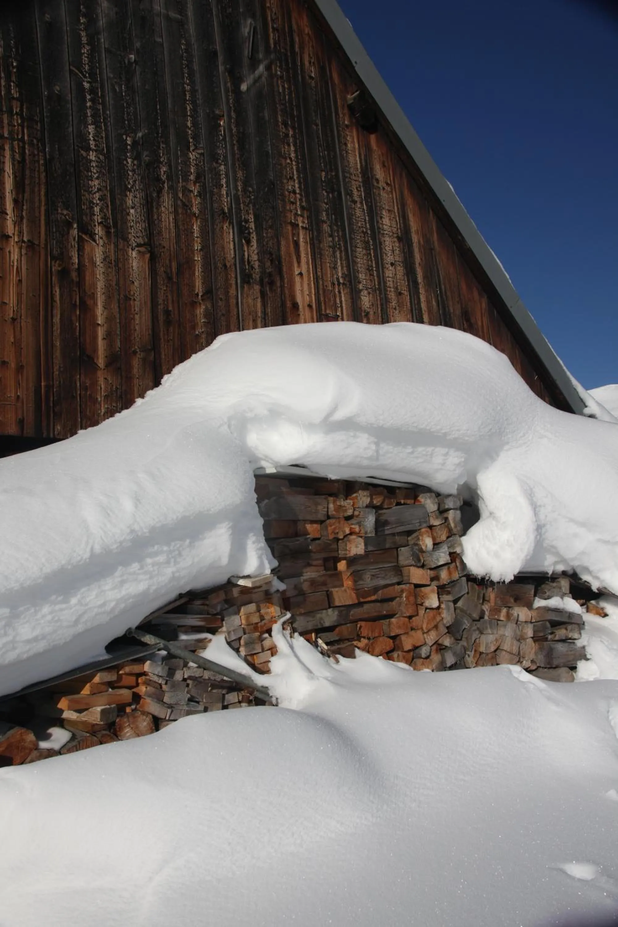 Natural landscape in Chalet-Hôtel Le Beausoleil, The Originals Relais