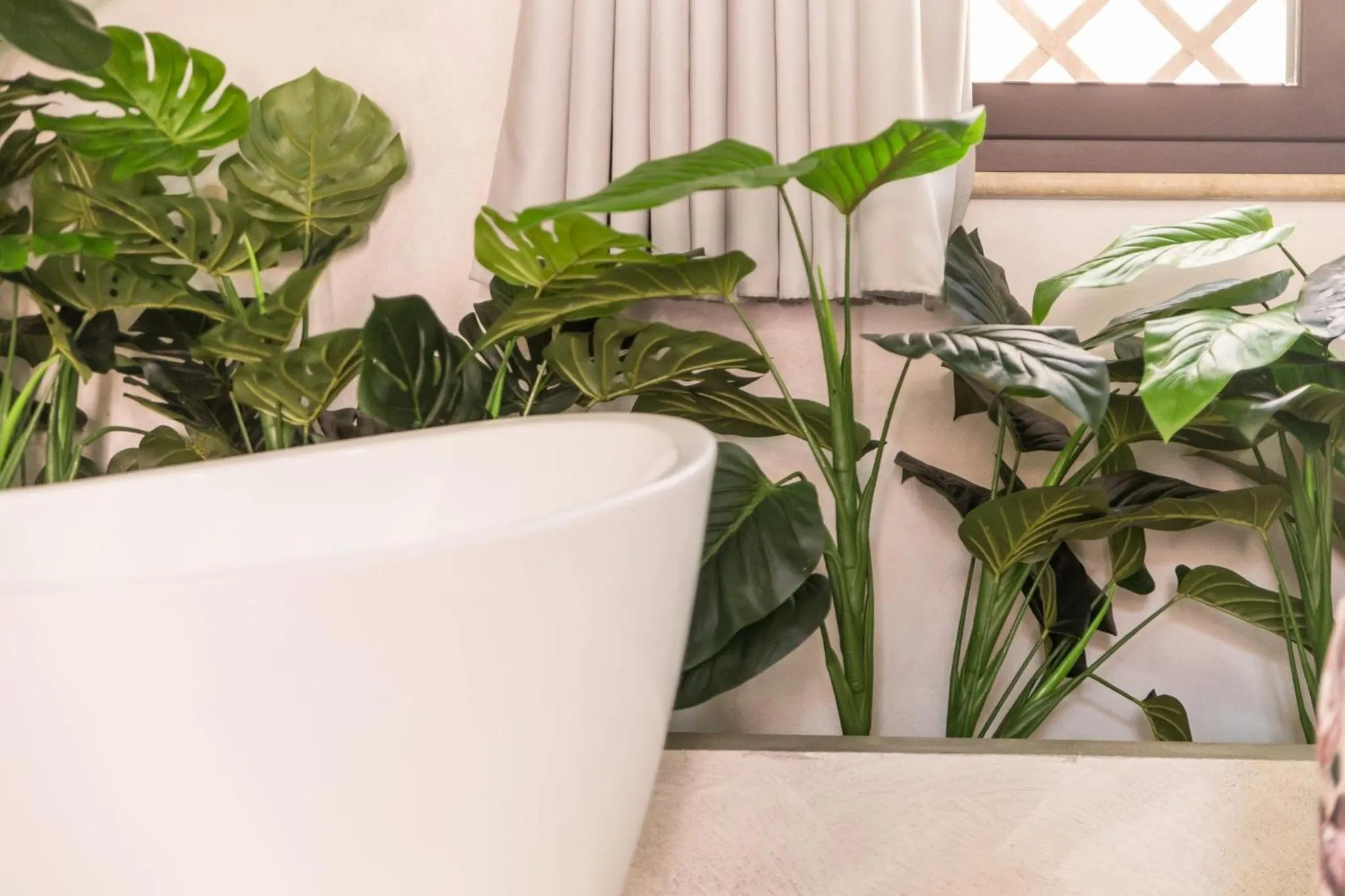 Garden in Diodorus Luxury Experience