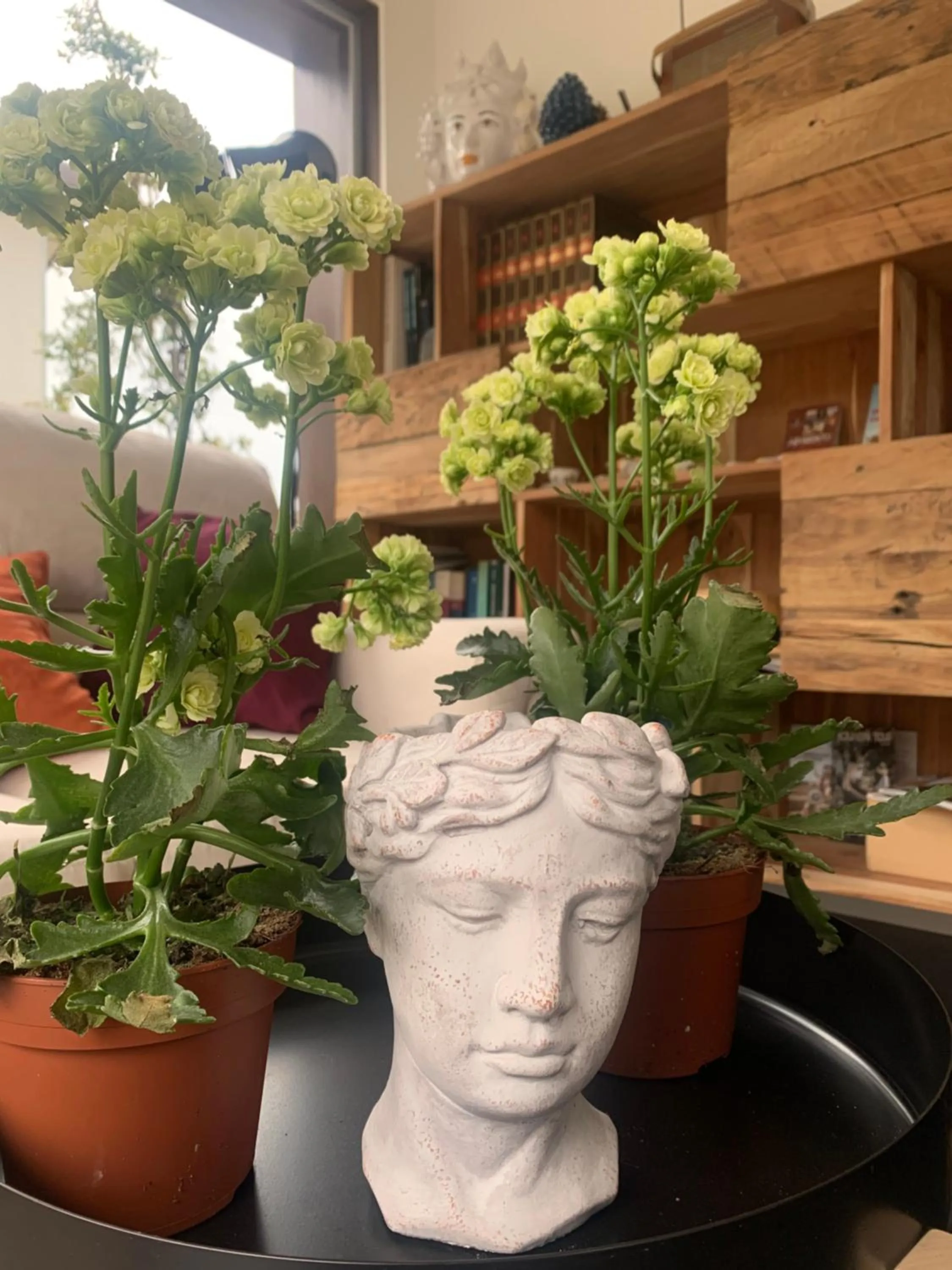 Decorative detail in Diodorus Luxury Experience