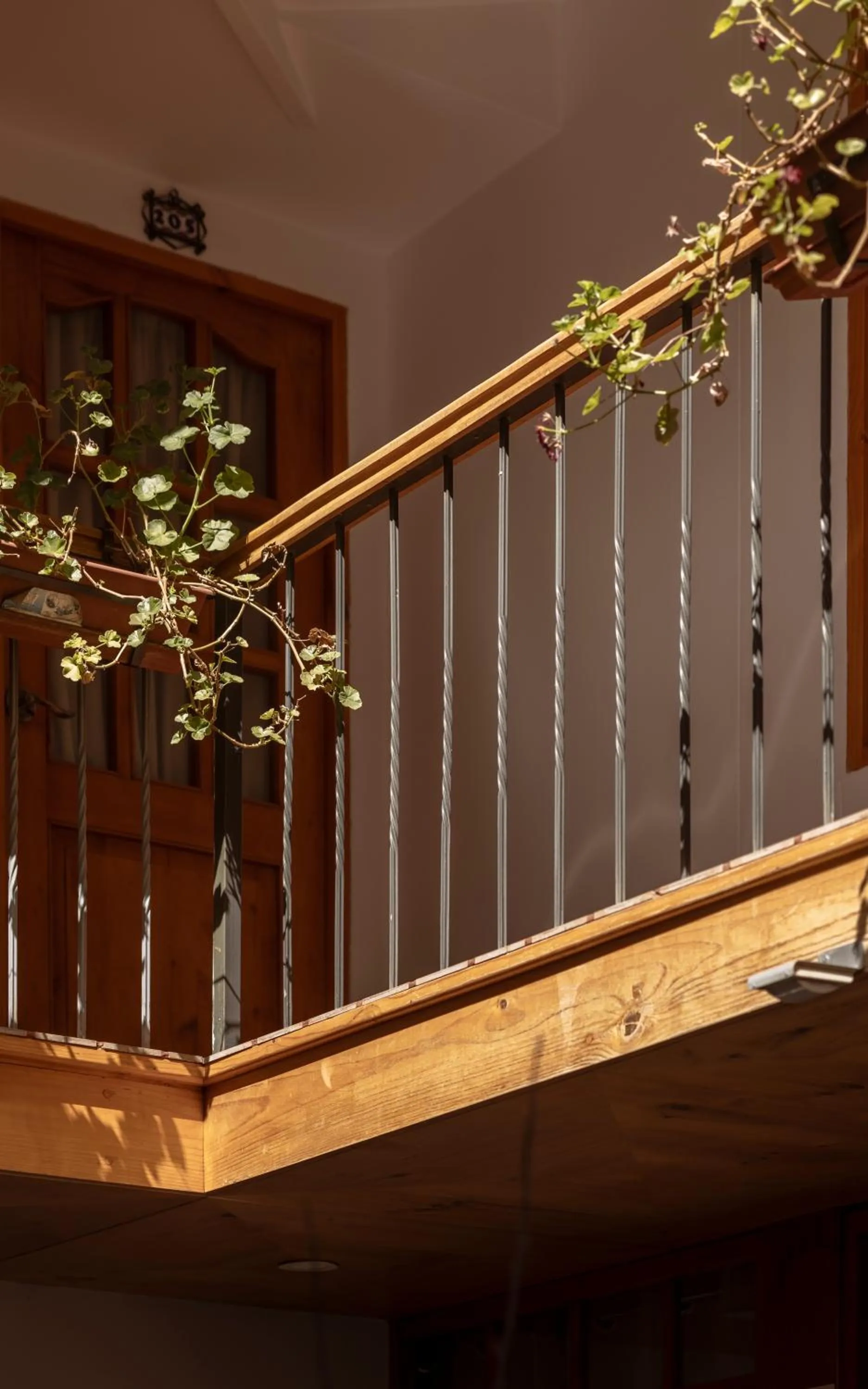 Garden in MOAF Cusco Boutique Hotel