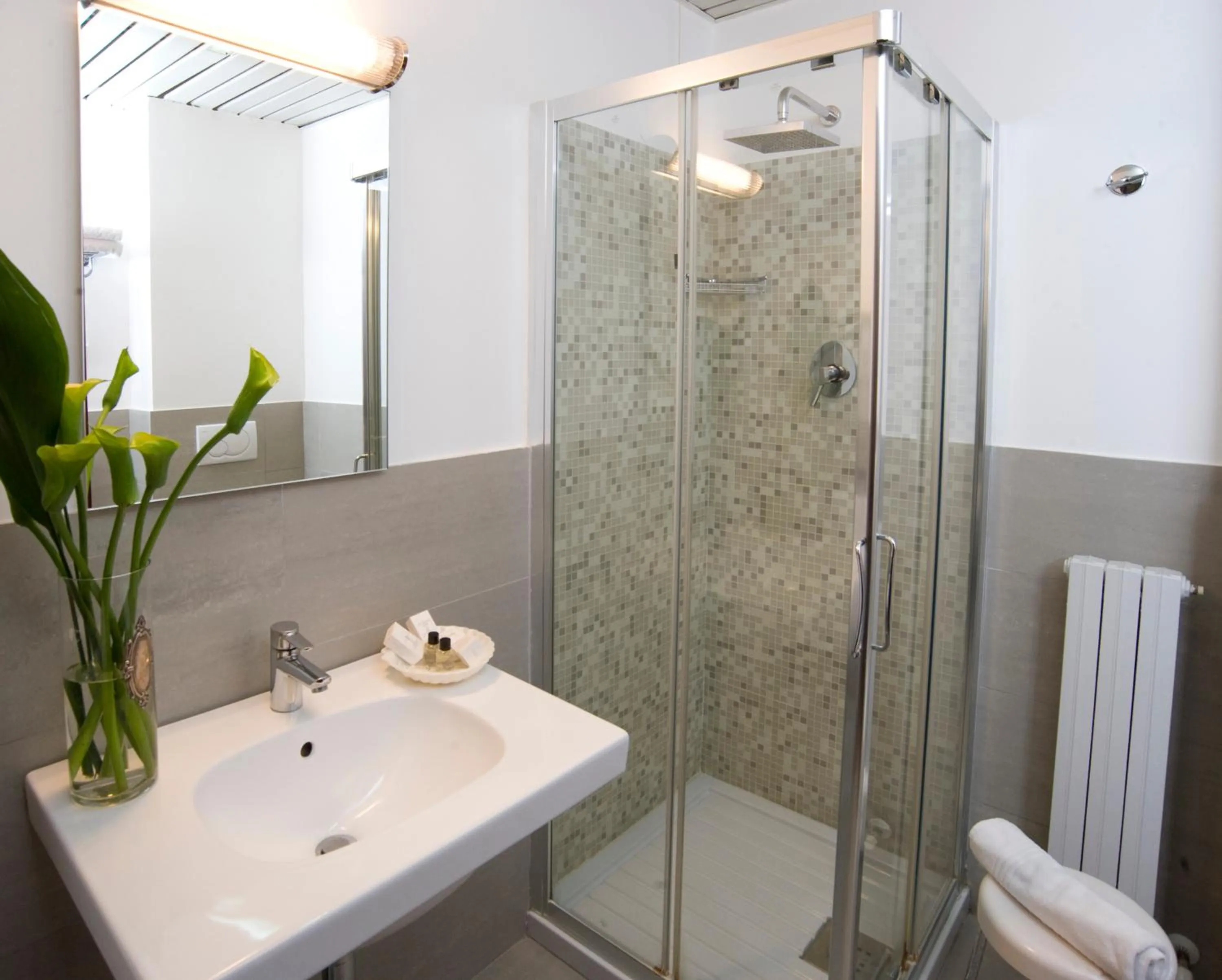 Shower in Hotel Leonardo Da Vinci