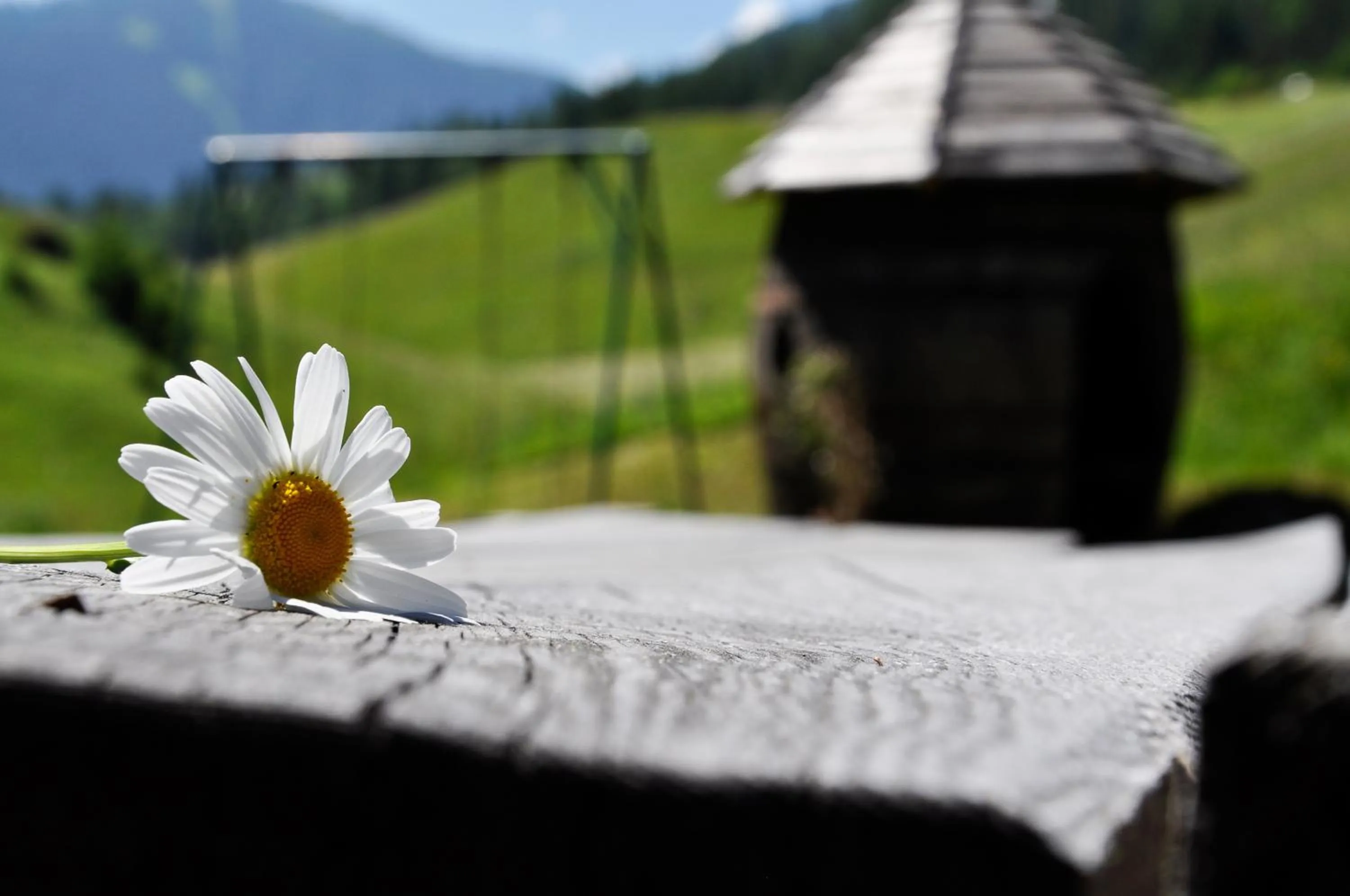 Day in Pension Rungg