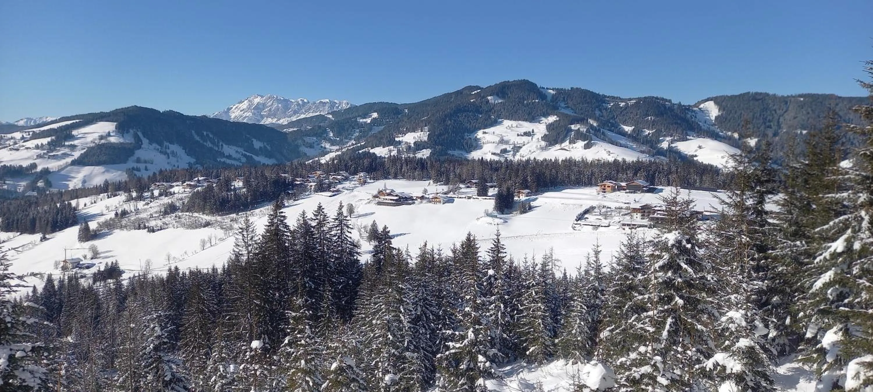 Natural landscape in Daarhof