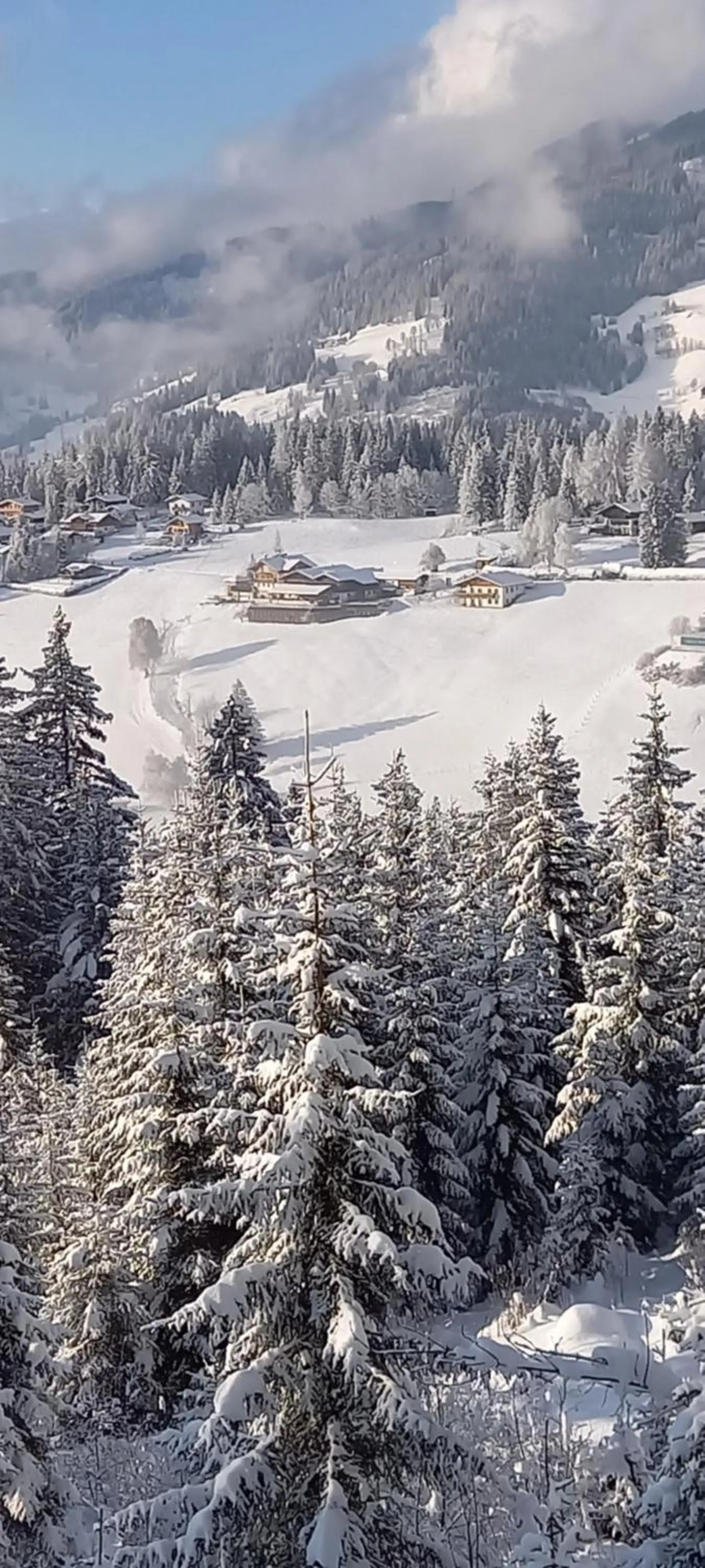Winter in Daarhof