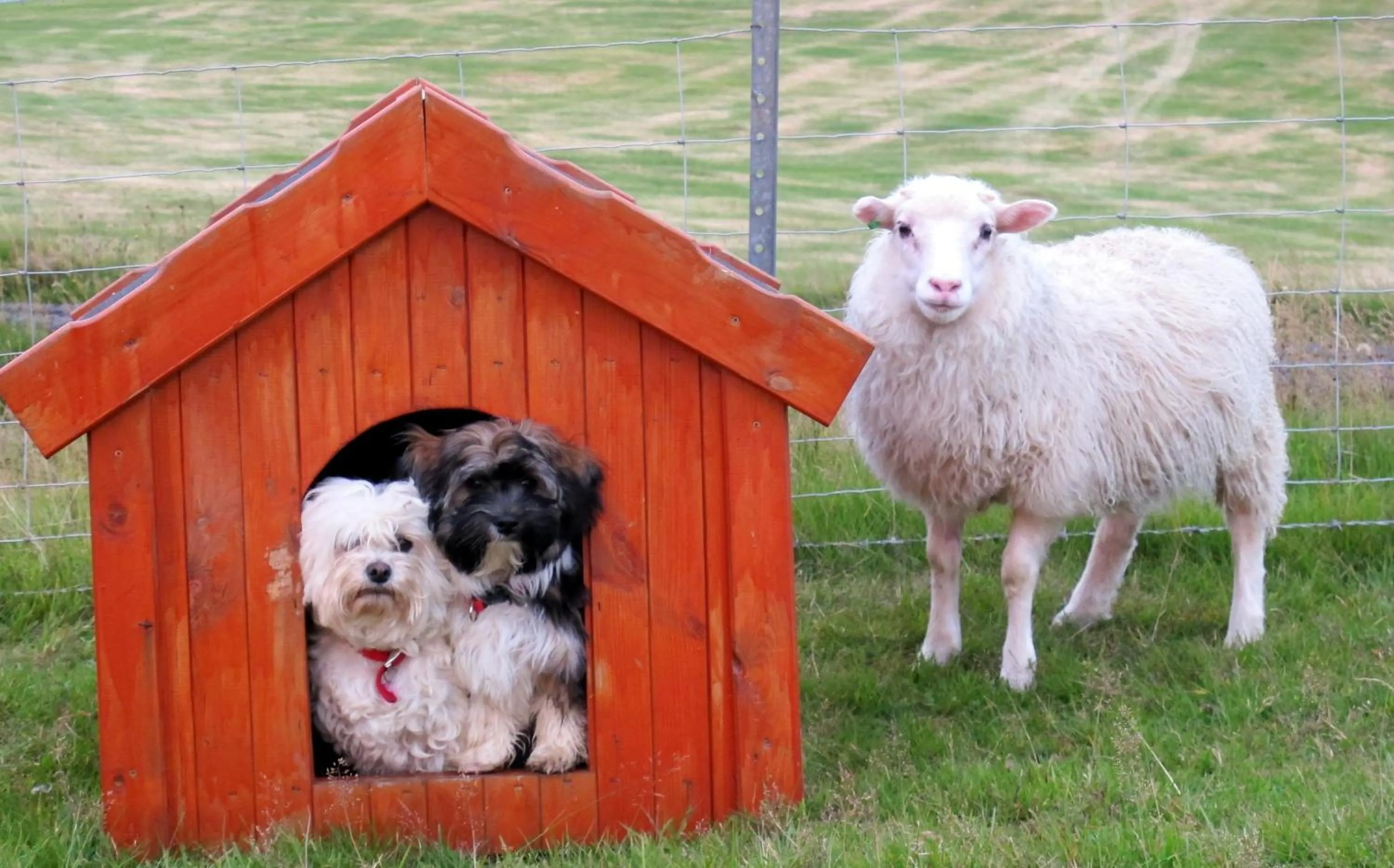 Other in Hótel Lækur