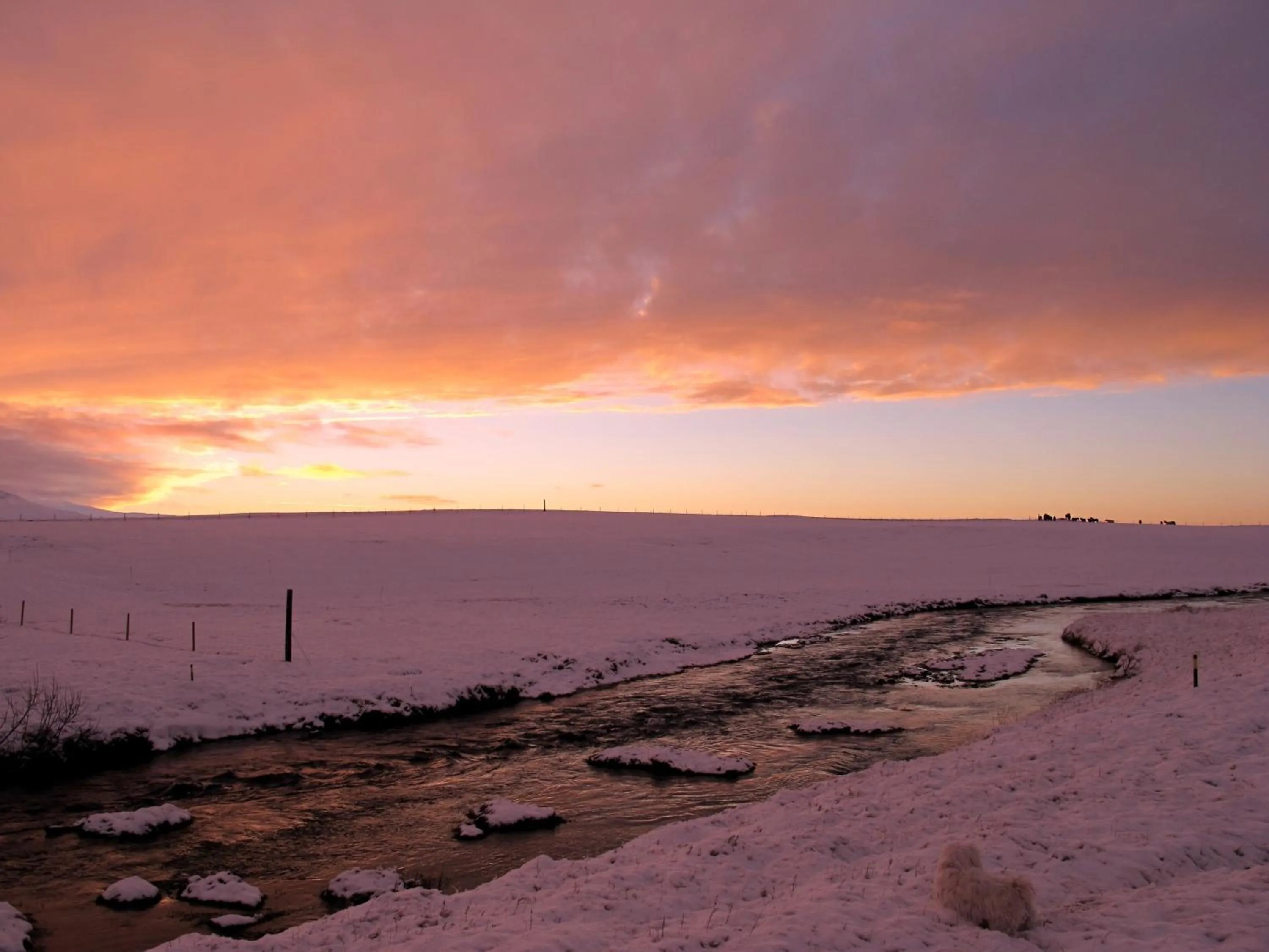 Area and facilities in Hótel Lækur