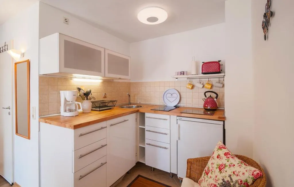 Kitchen or kitchenette in Villa Anči