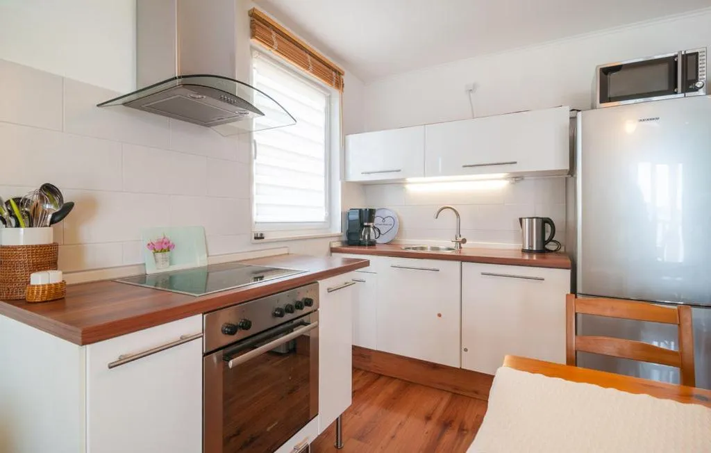 Kitchen or kitchenette in Villa Anči