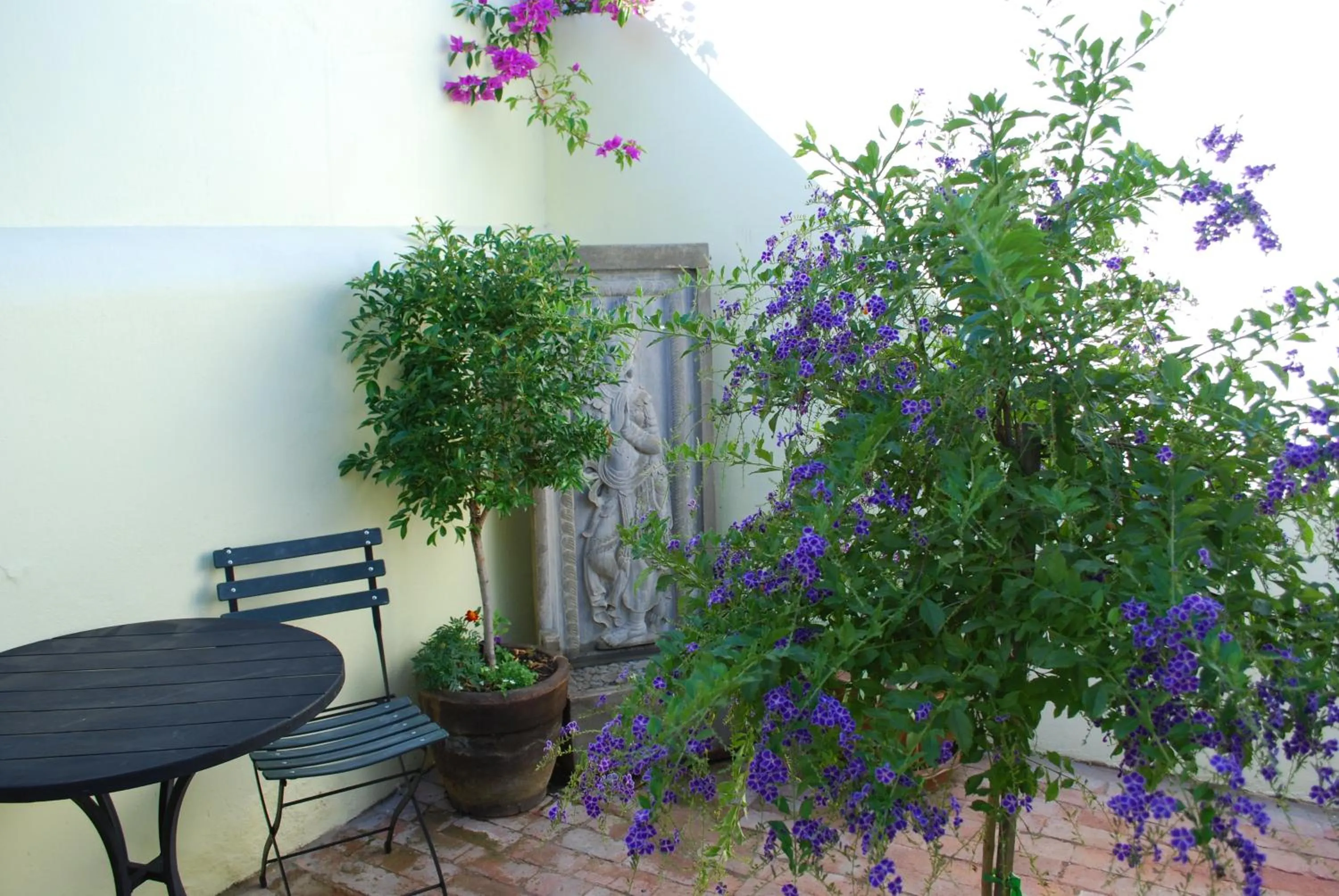 Kingna Lodge Montagu