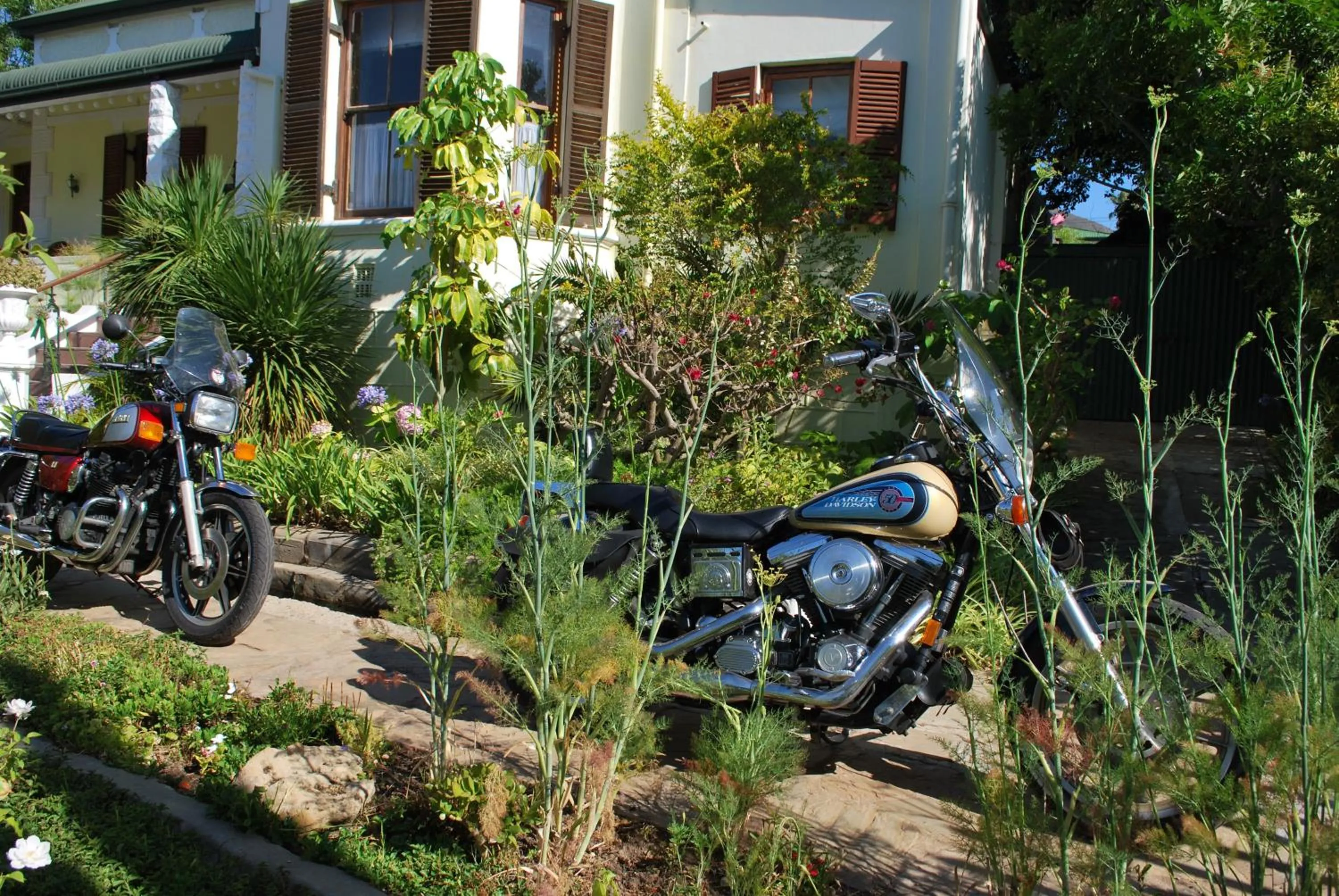 Kingna Lodge Montagu