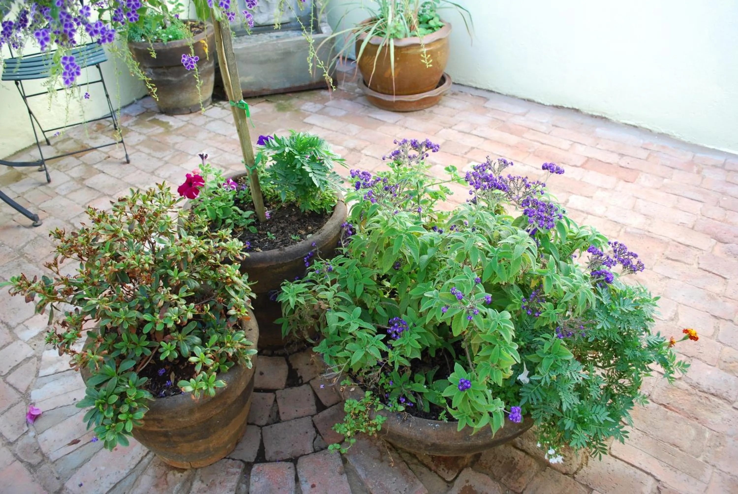 Kingna Lodge Montagu