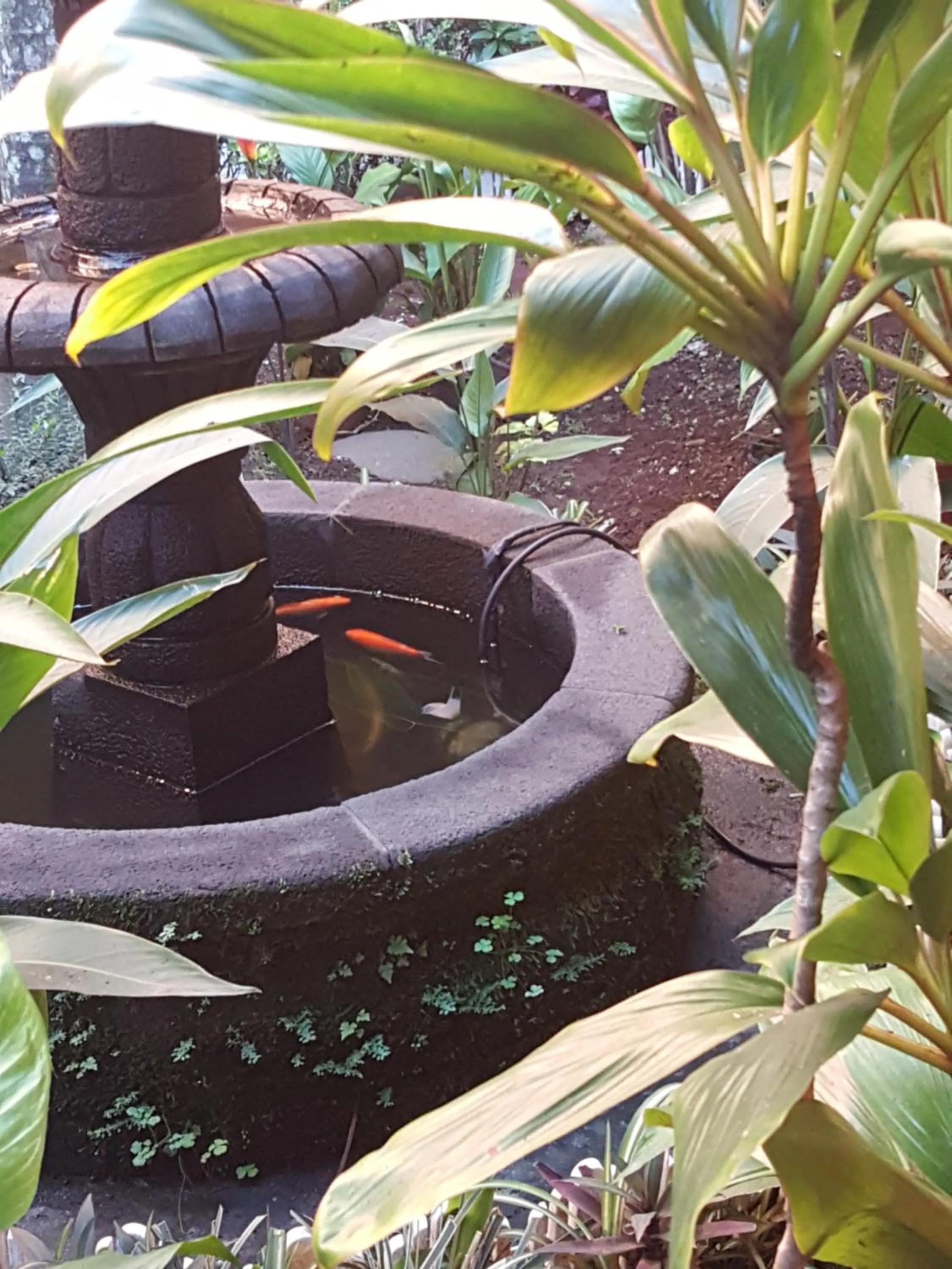 Hotel Posada San Jerónimo