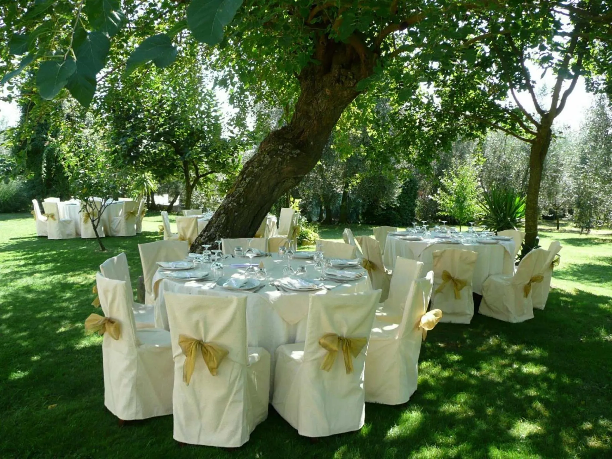 Restaurant/places to eat in Il Baraccotto