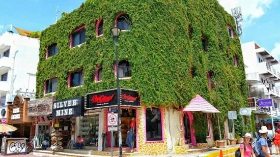 Location in Boutique Hotel Delfin 5th Avenue