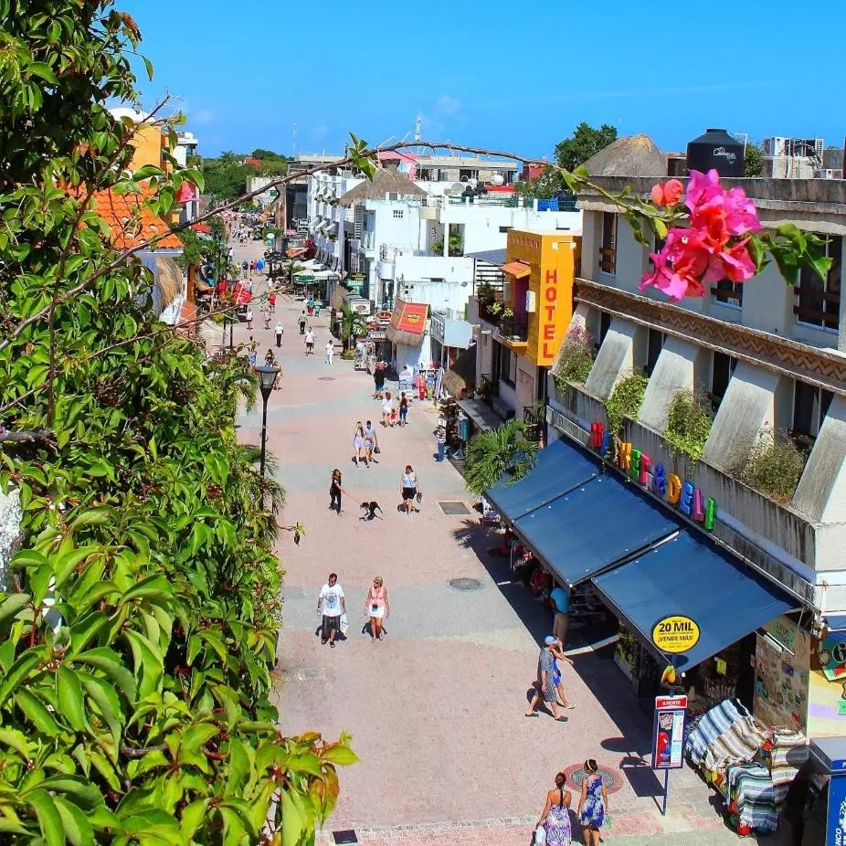 View (from property/room) in Boutique Hotel Delfin 5th Avenue