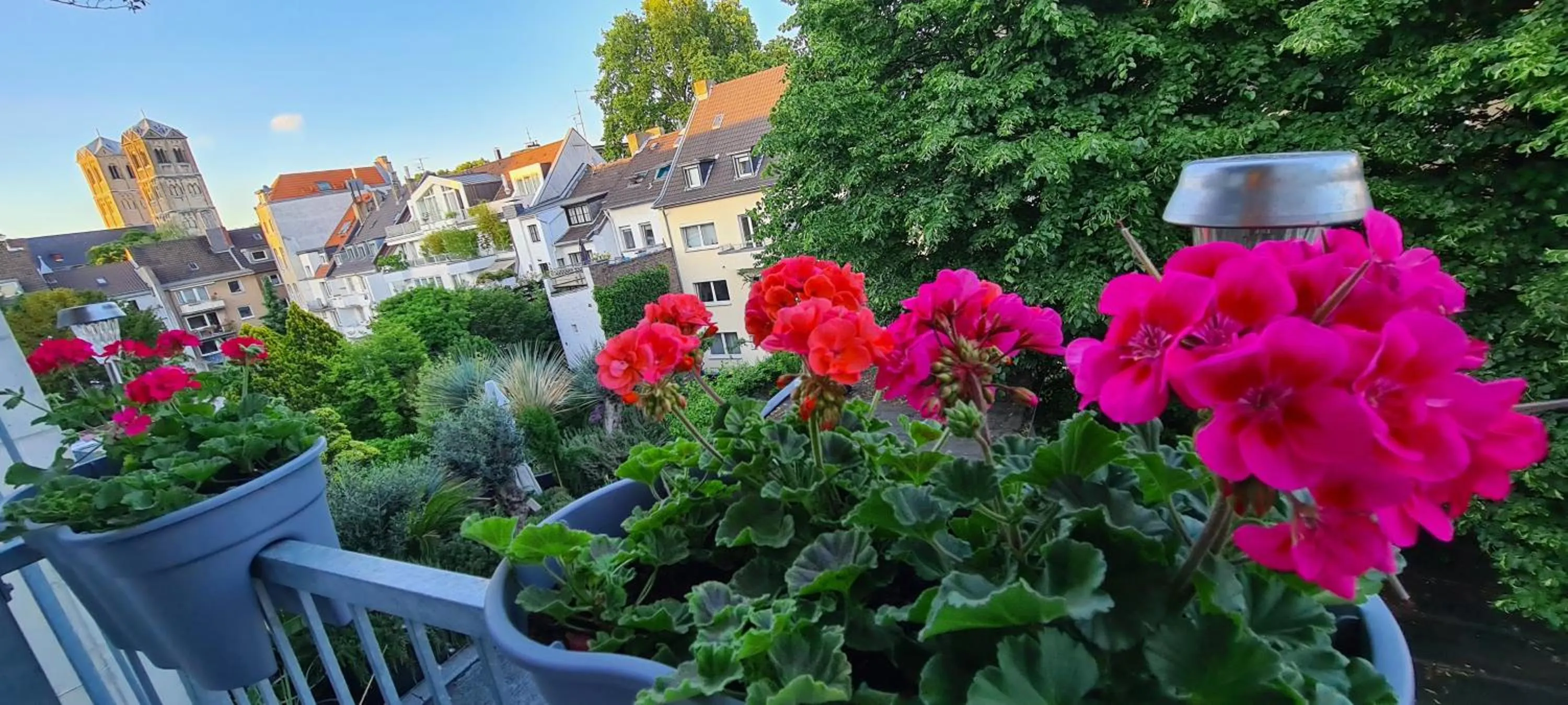 Photo of the whole room in Hotel Cara Vita Cologne