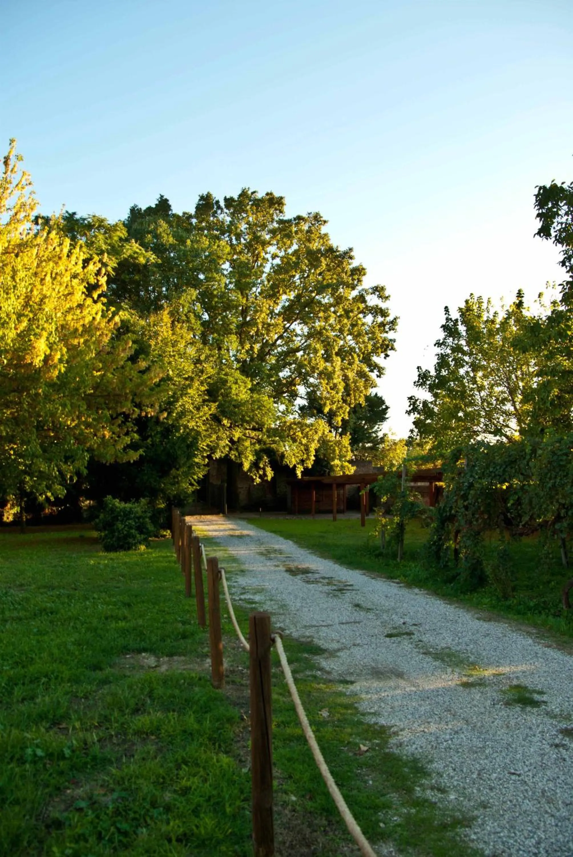 View (from property/room) in Principessa Pio