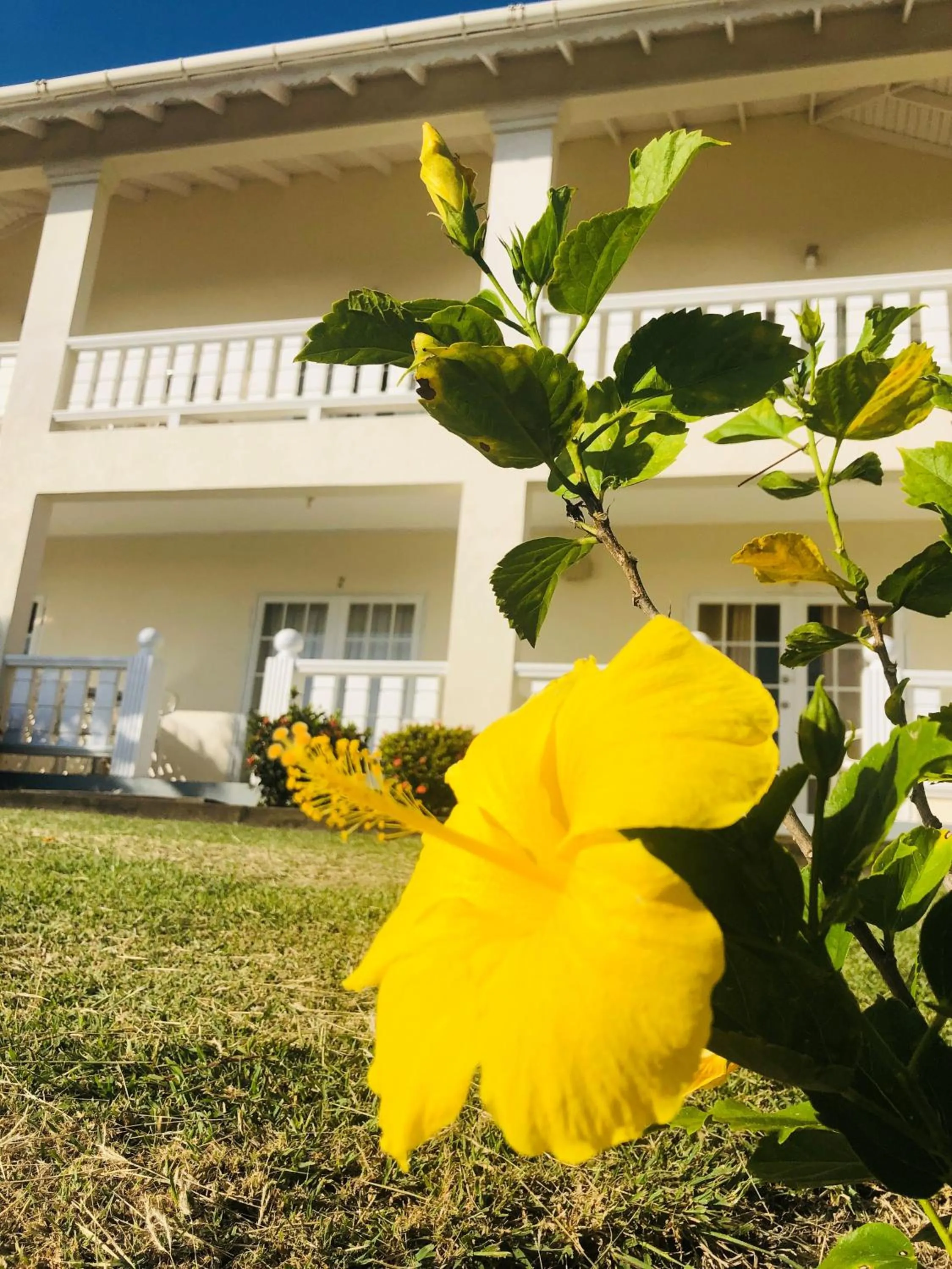 Rosewood Apartment Hotel