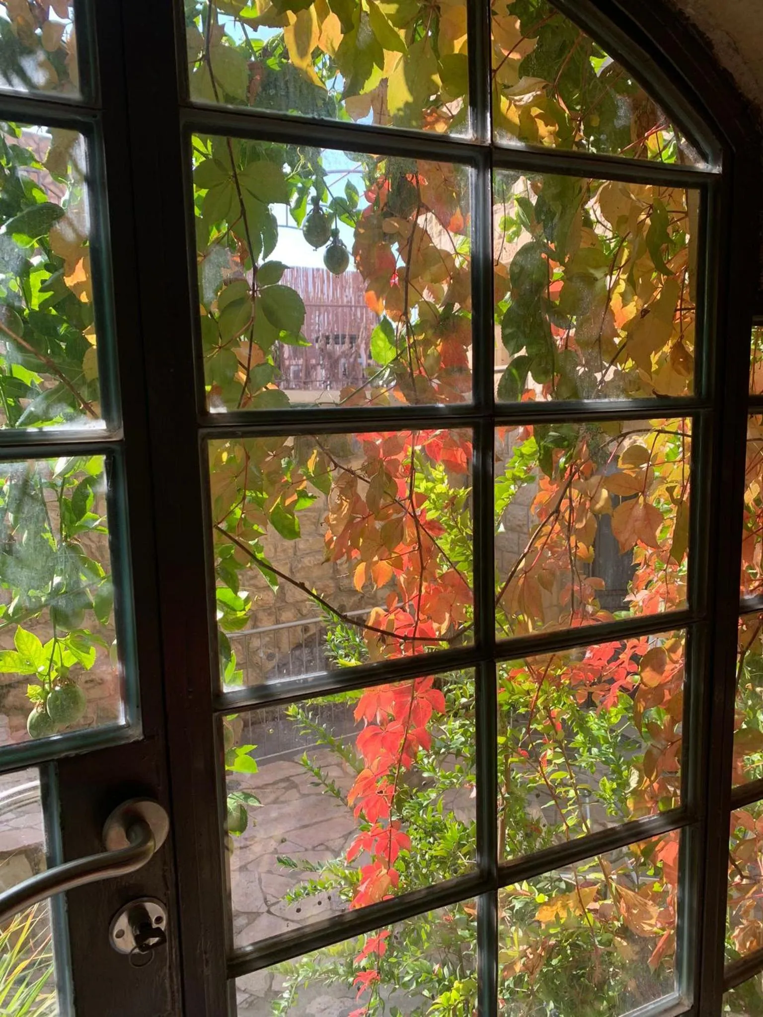 Garden in Artists' Colony Inn Zefat