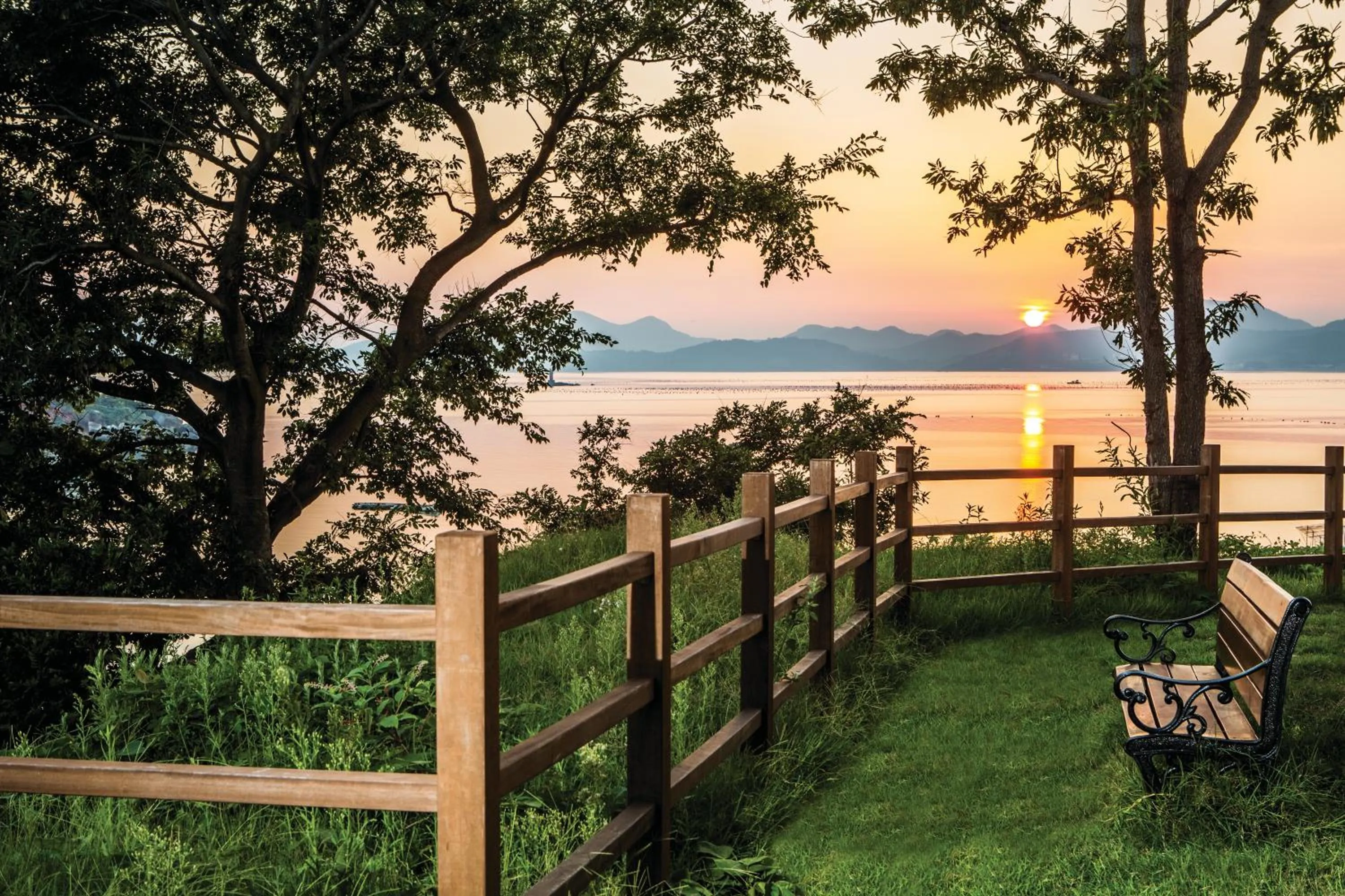 Garden in Hidden Bay Hotel