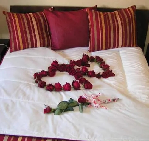 Bed in seiaalojamentos