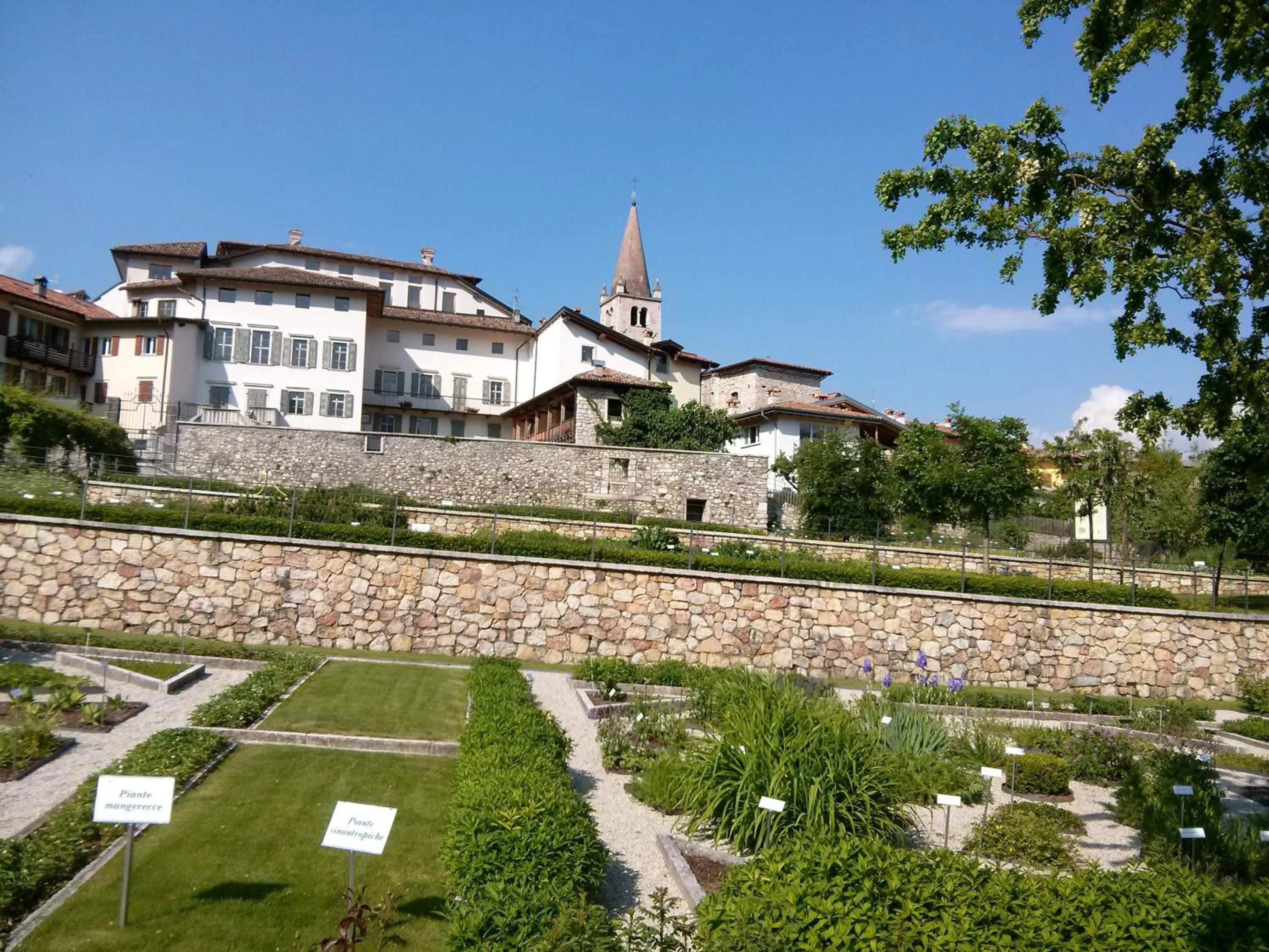 Natural landscape in Villa Monica