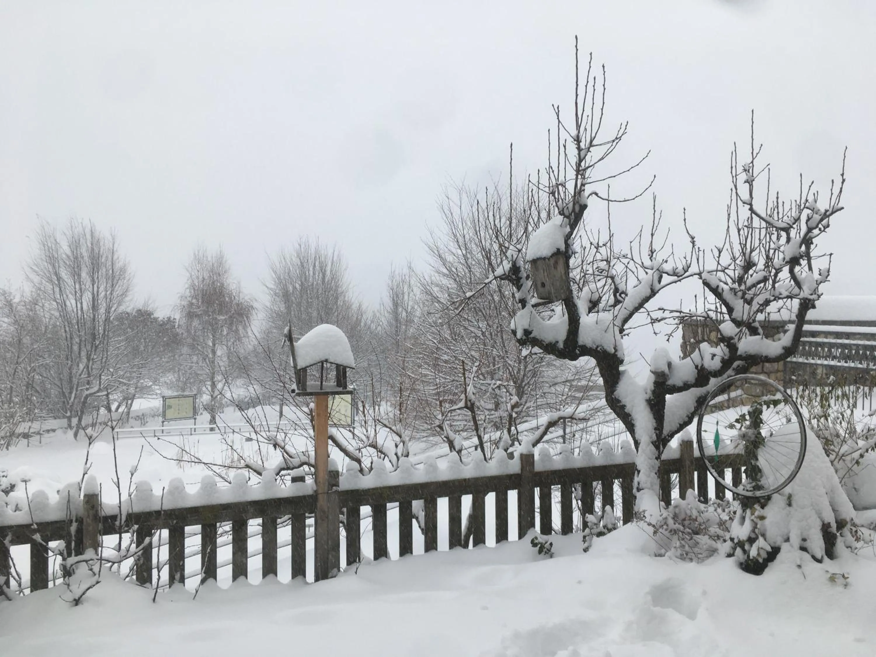 Natural landscape in Villa Monica