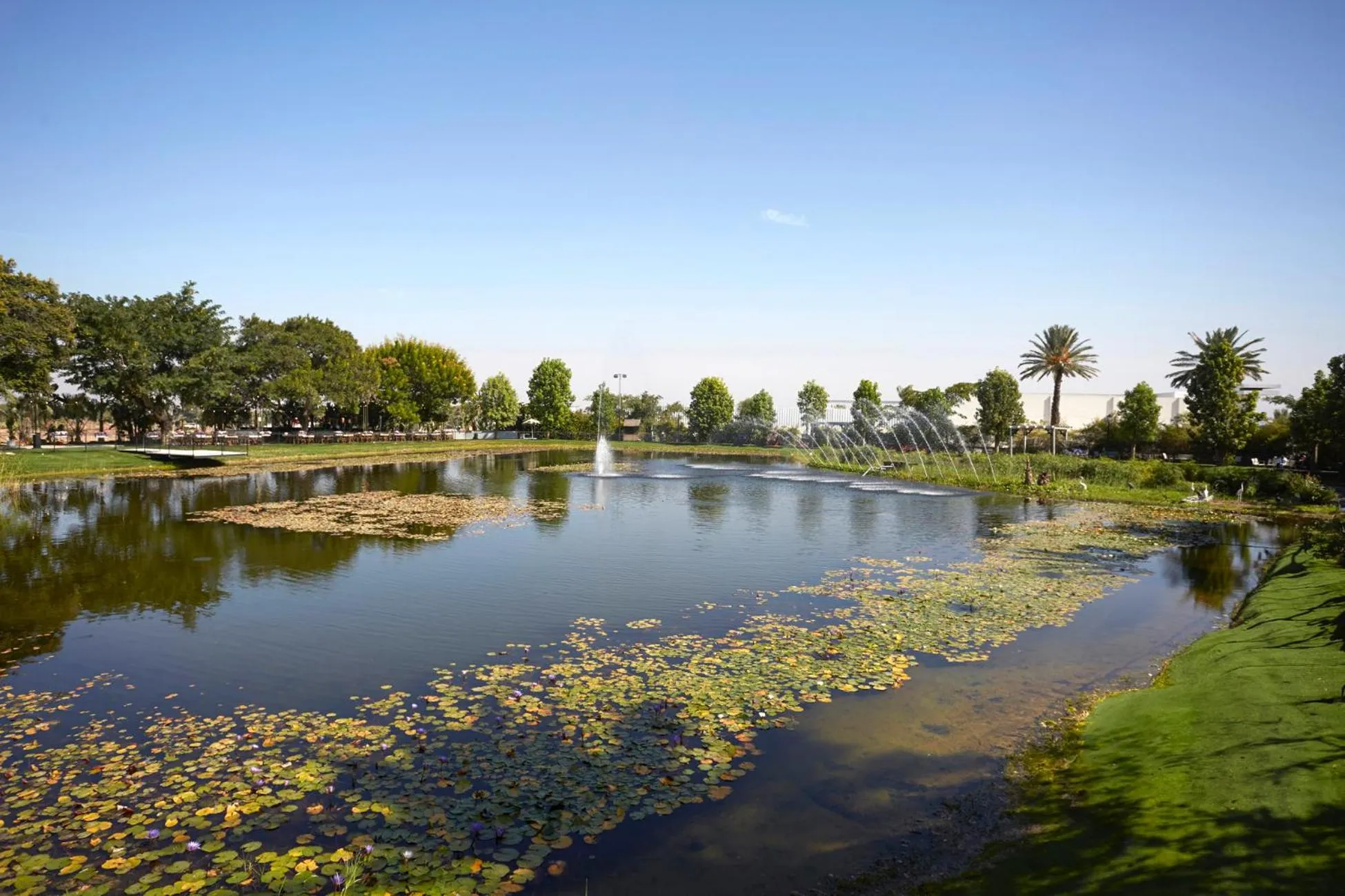 Lake view in Dream Island Spa & Health Resort