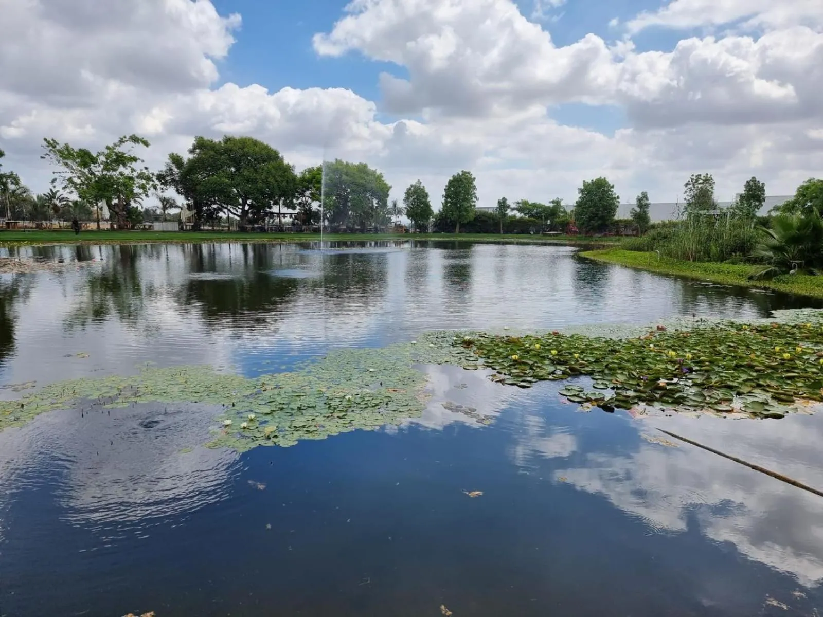 Natural landscape in Dream Island Spa & Health Resort