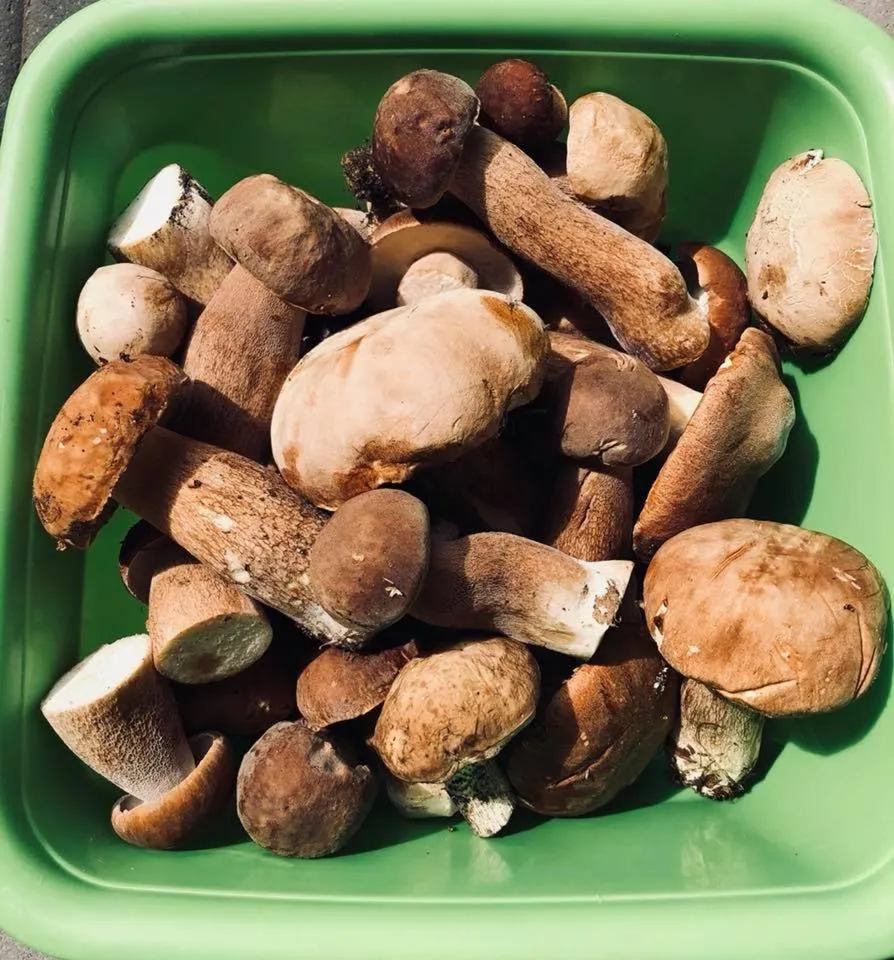 Pokoje Cztery Pory Roku