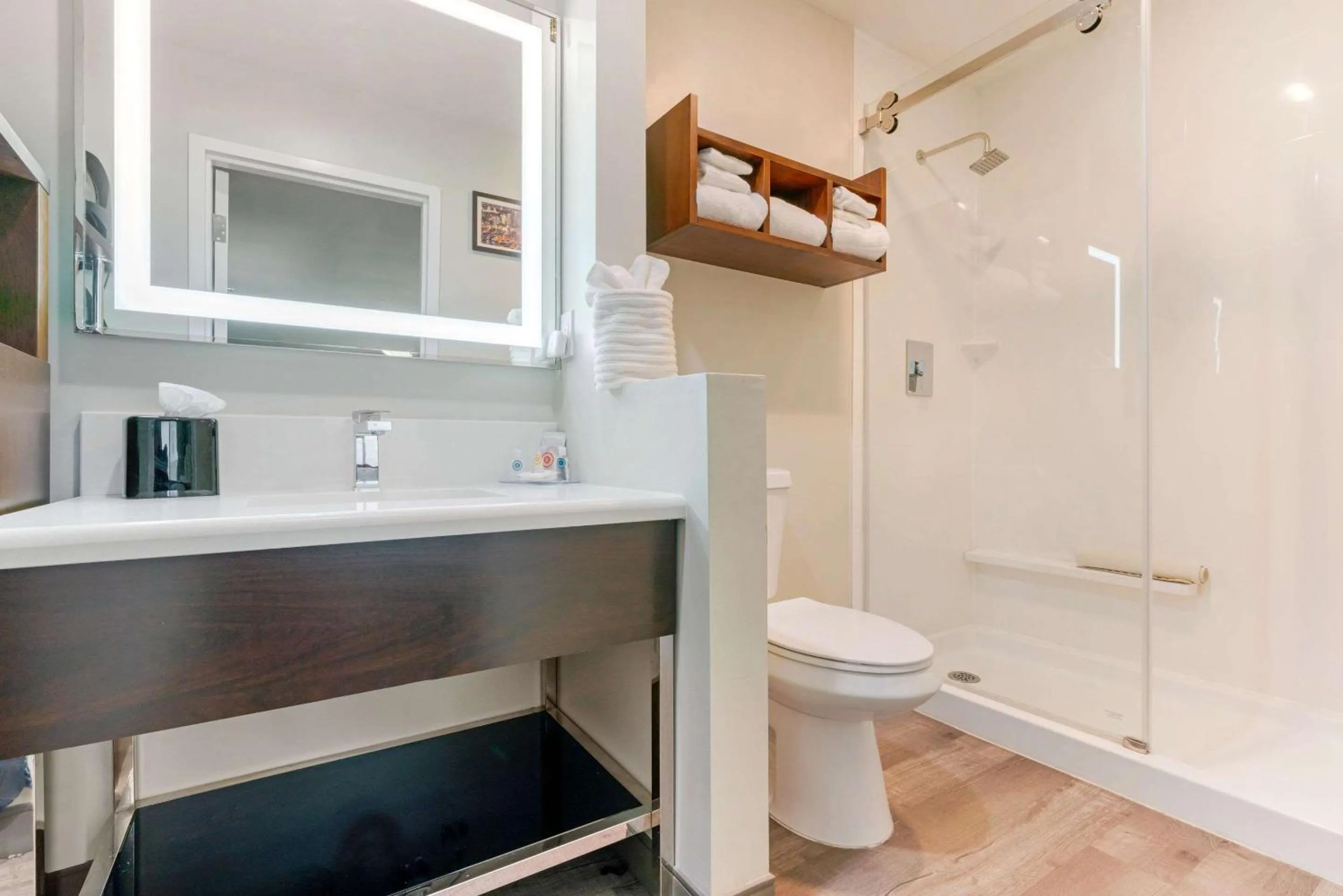 Bathroom in Comfort Inn Antioch - Century Plaza