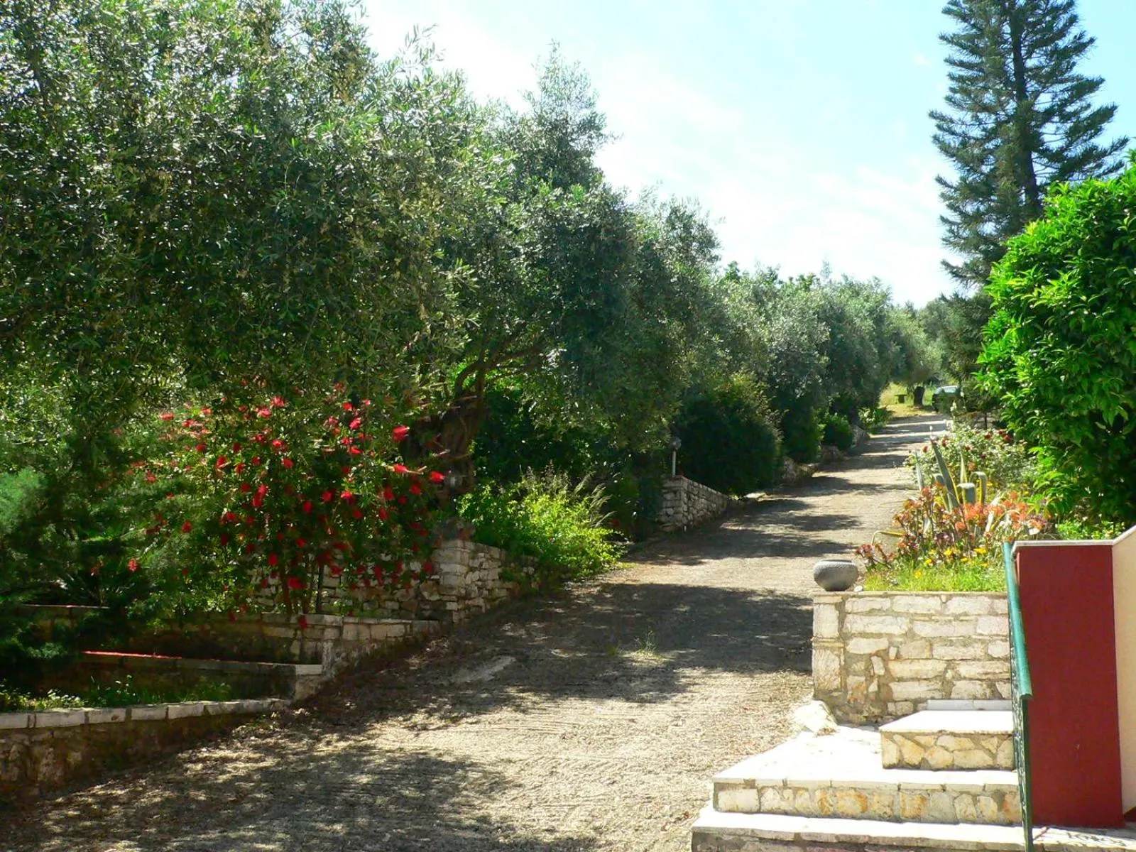 Garden in APRAOS BAY HOTEL