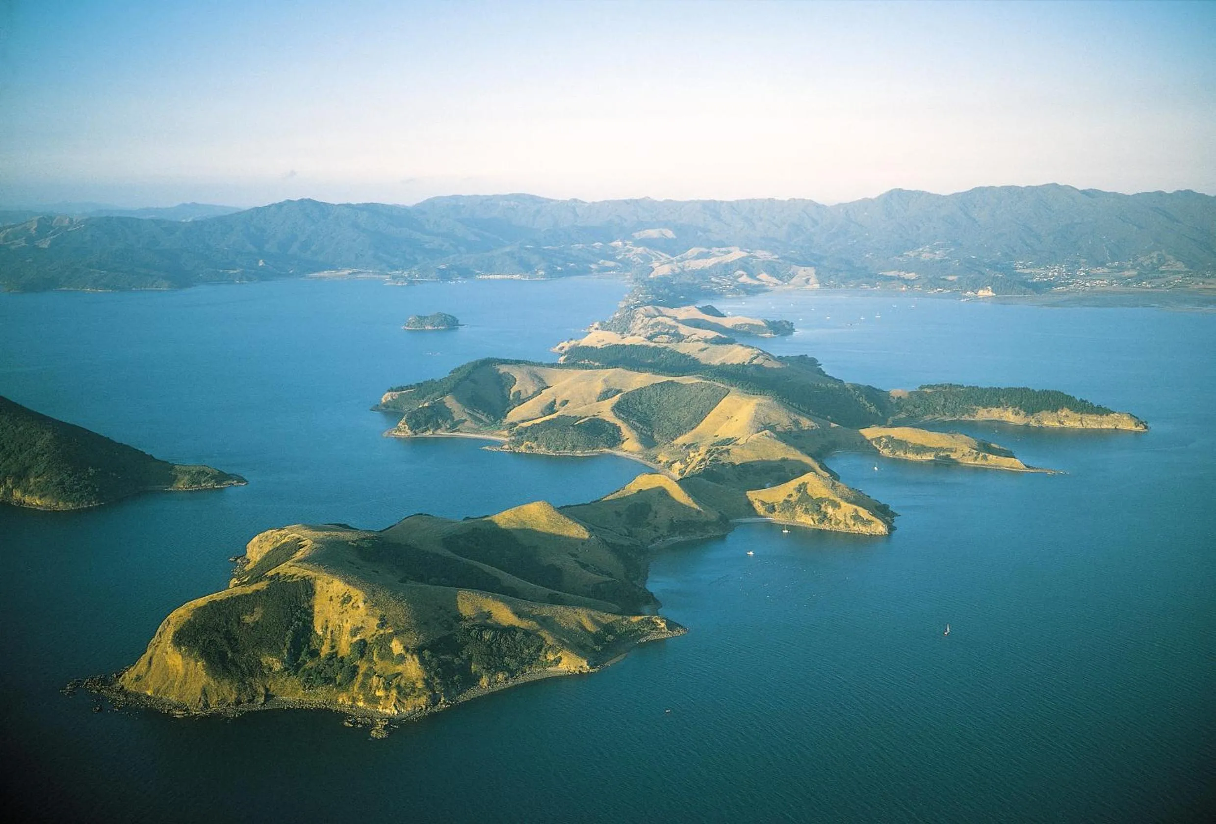 Natural landscape in Coromandel Apartments