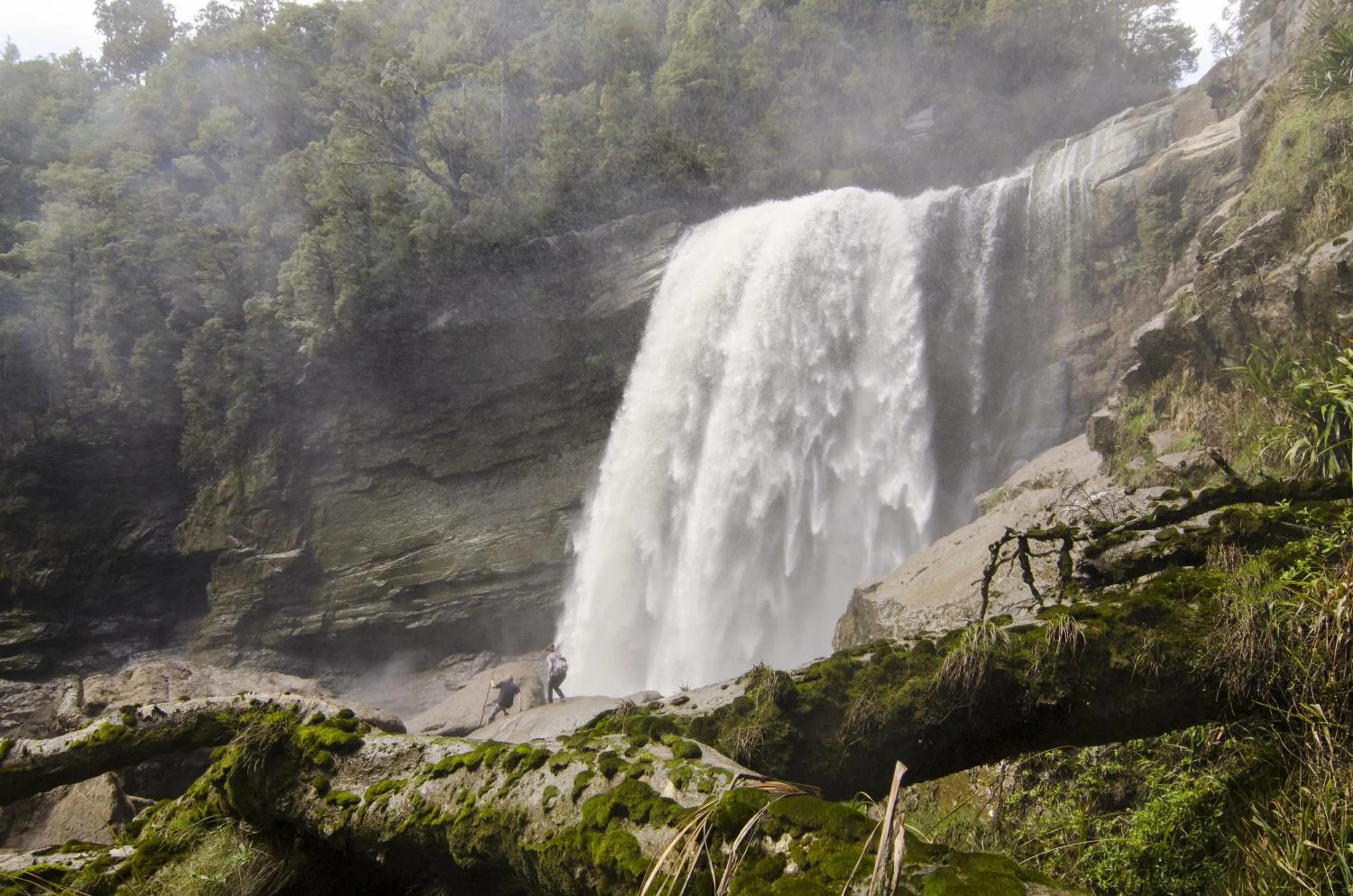 Nearby landmark in Bazil's Backpackers BBH Hostel & Surf School