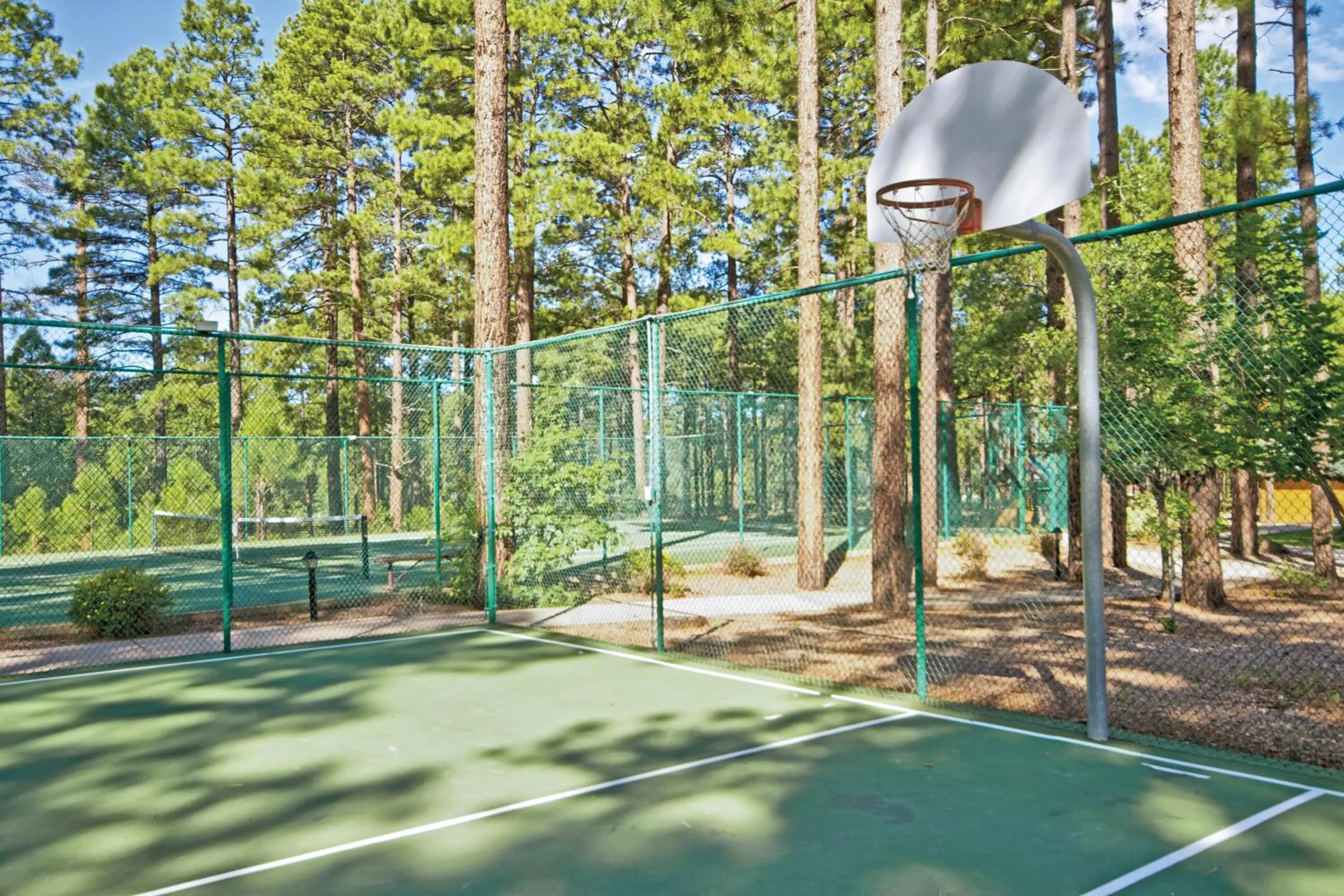 Sports in WorldMark Pinetop