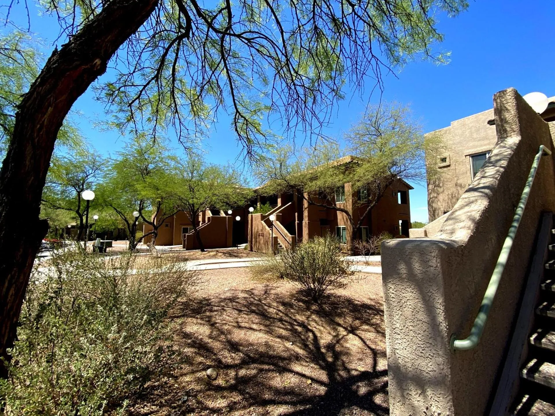 Garden in WorldMark Rancho Vistoso