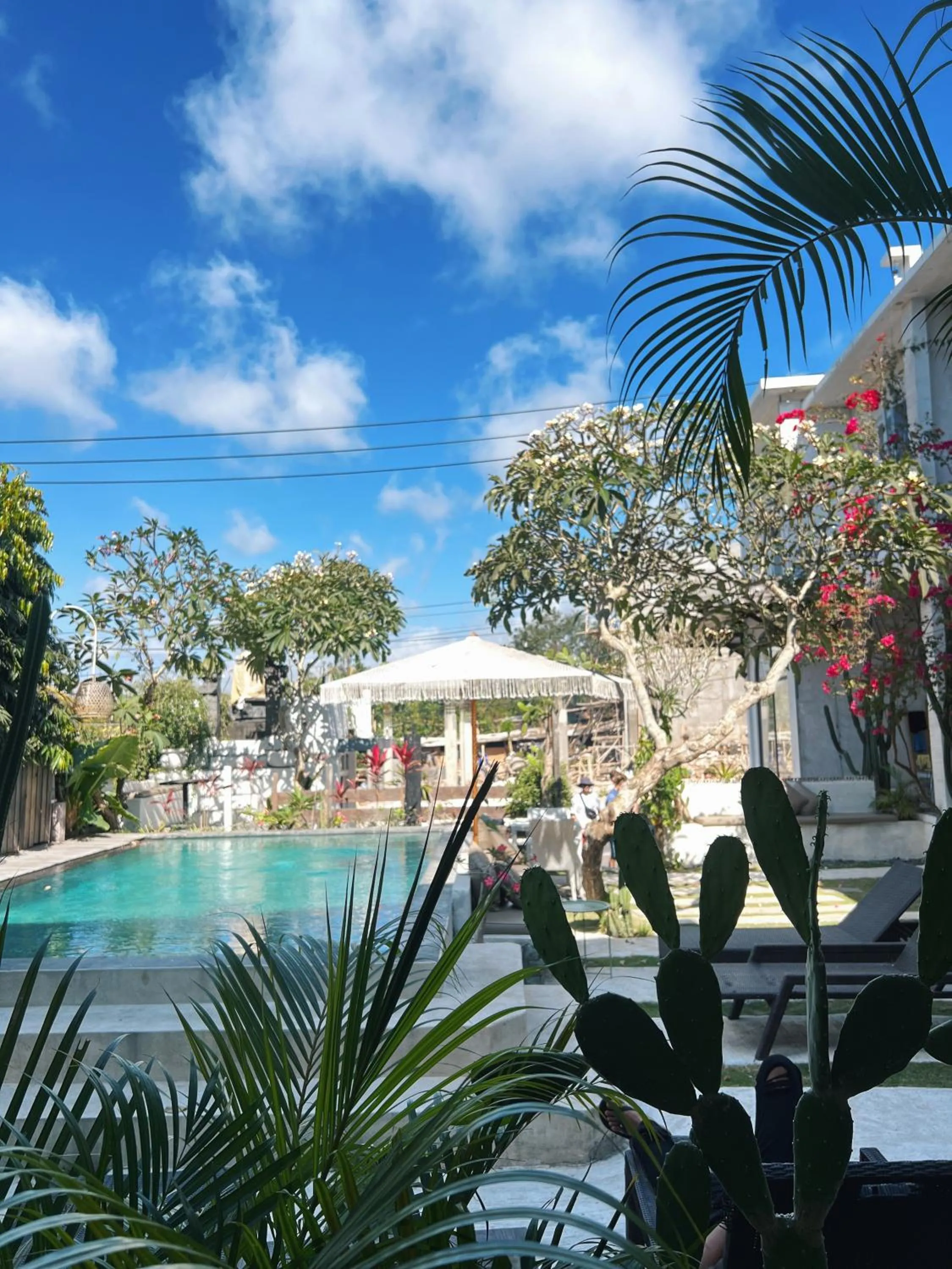 Swimming pool in Bingin Inn