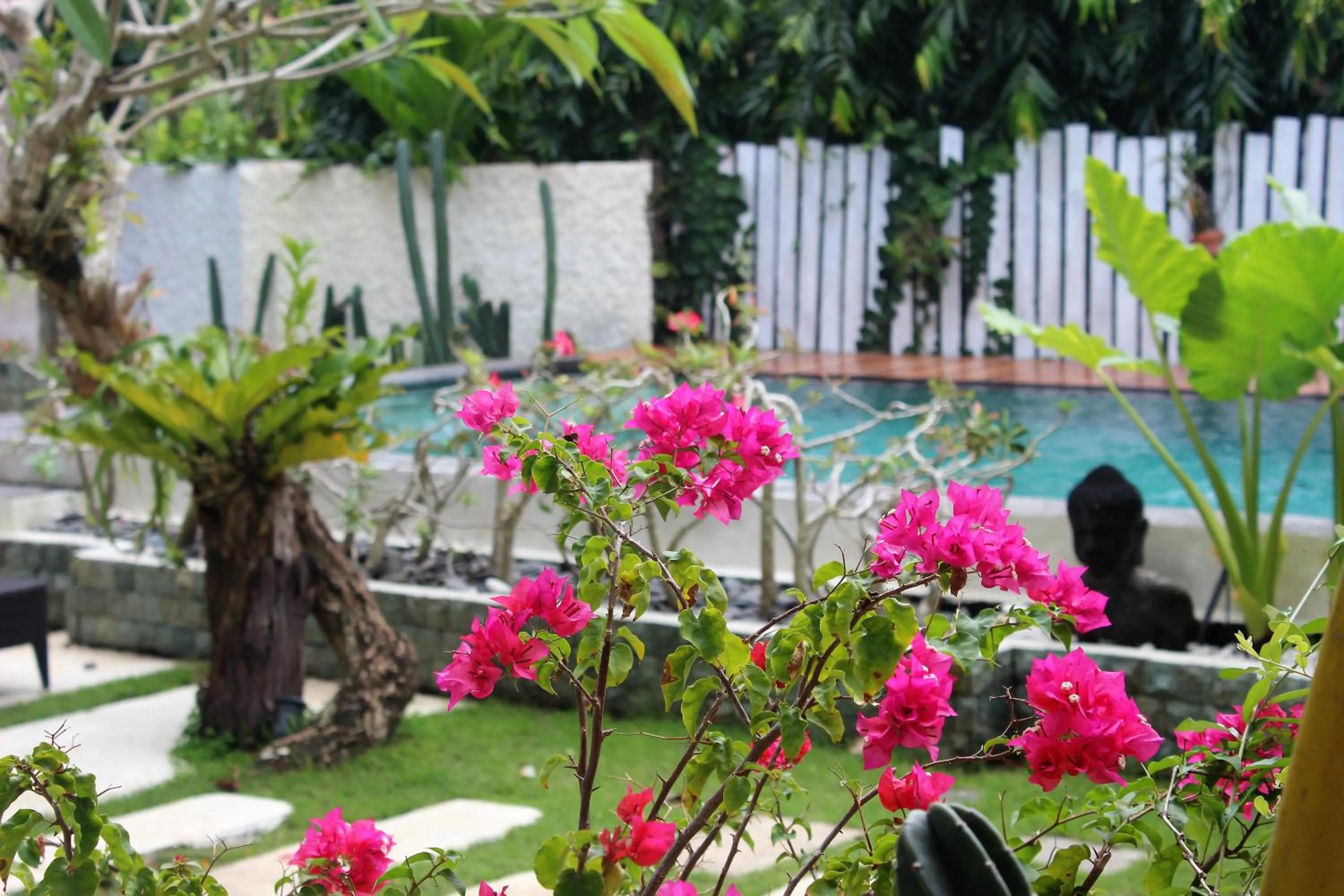 Balcony/Terrace in Bingin Inn