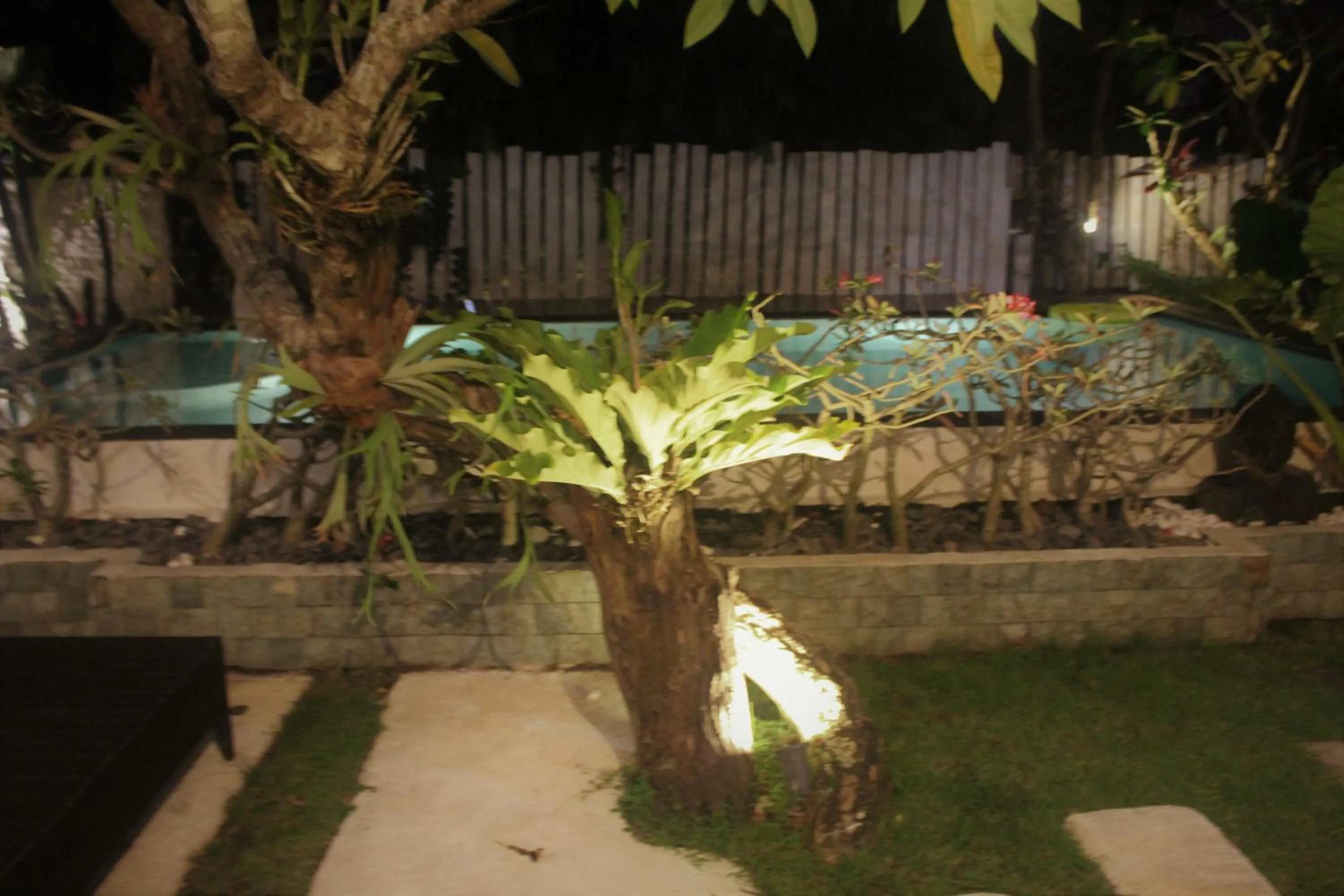 Property building in Bingin Inn