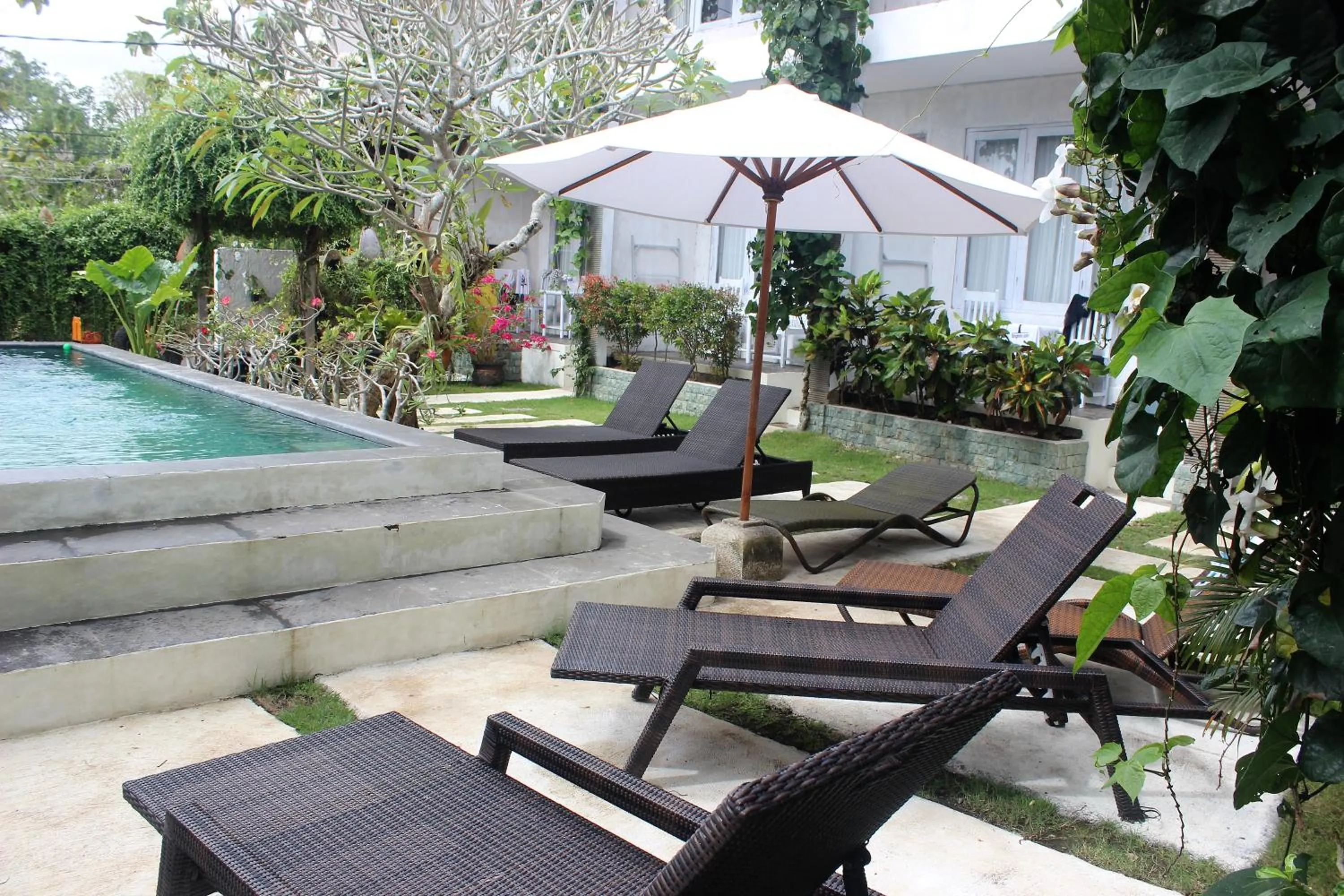 Garden in Bingin Inn