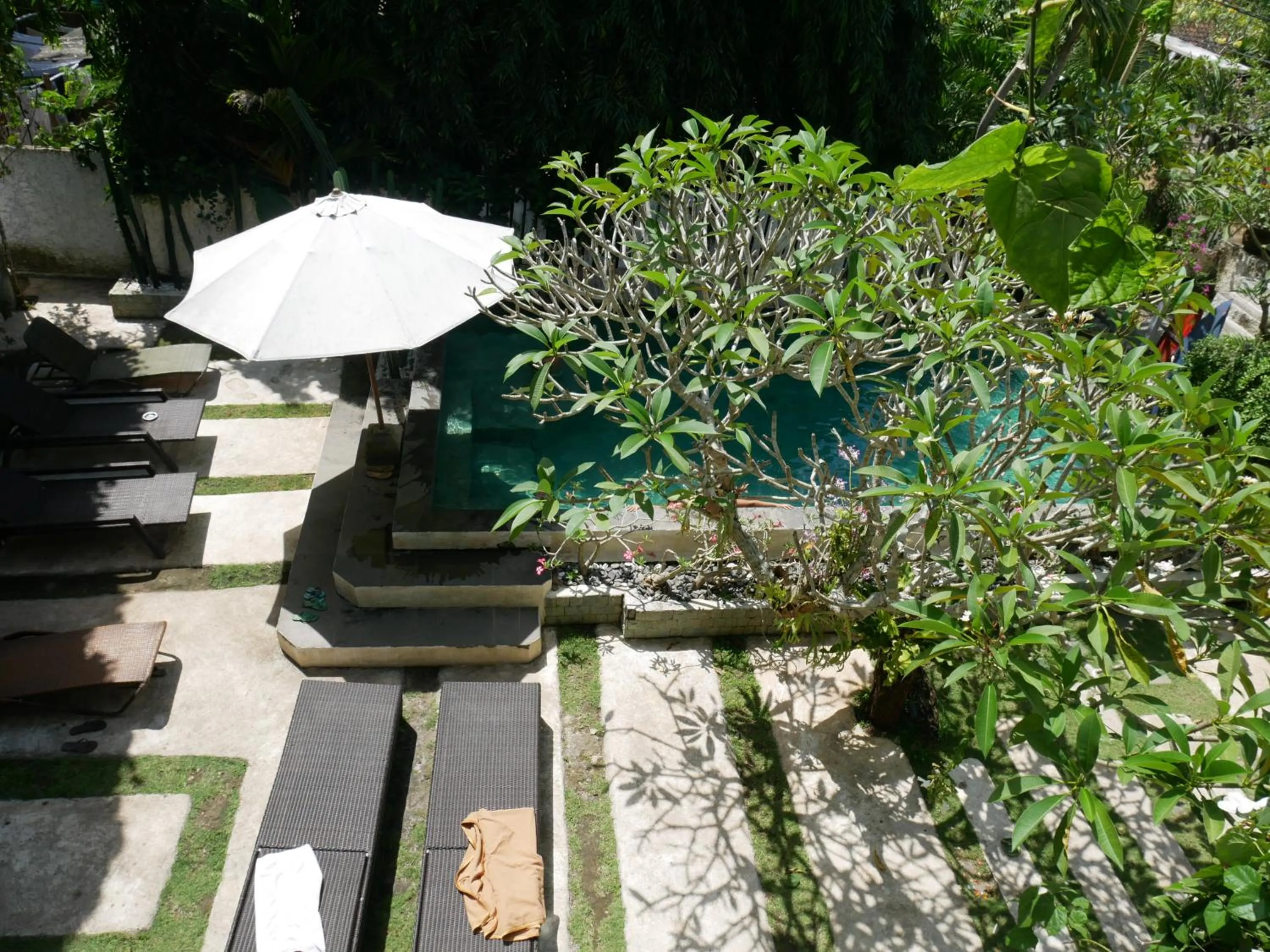 Garden view in Bingin Inn