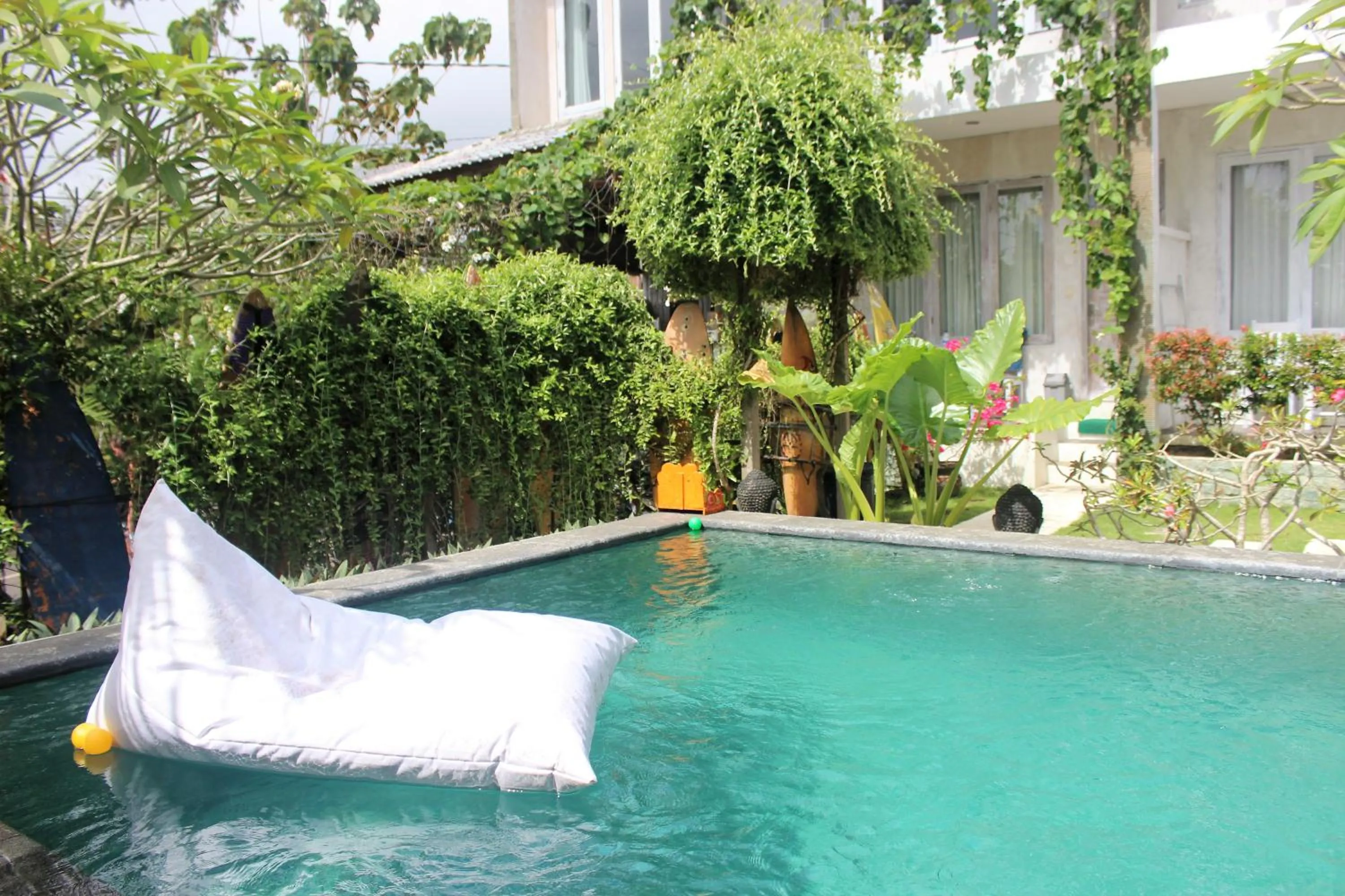 Swimming pool in Bingin Inn