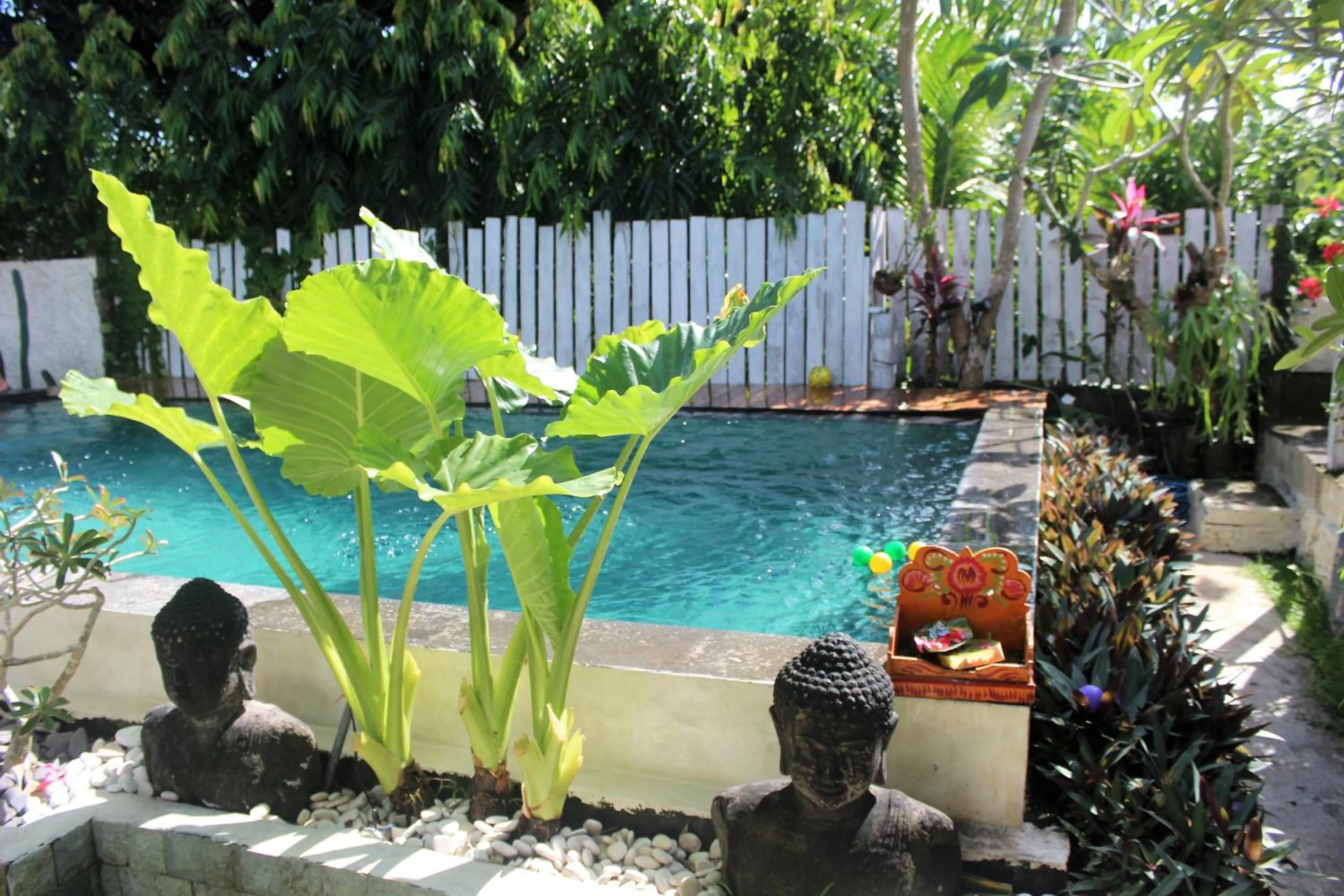 Pool view in Bingin Inn
