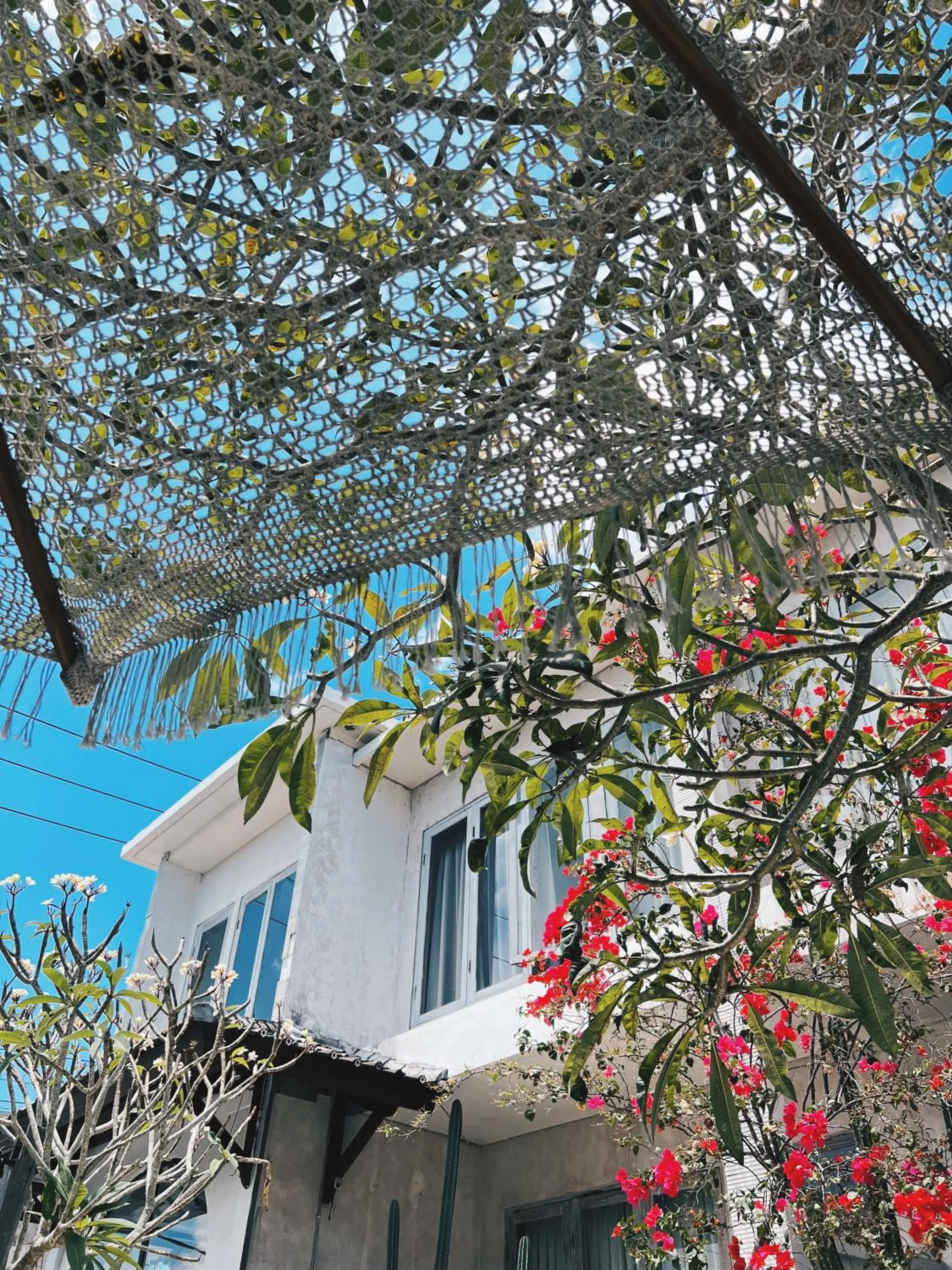 Property building in Bingin Inn