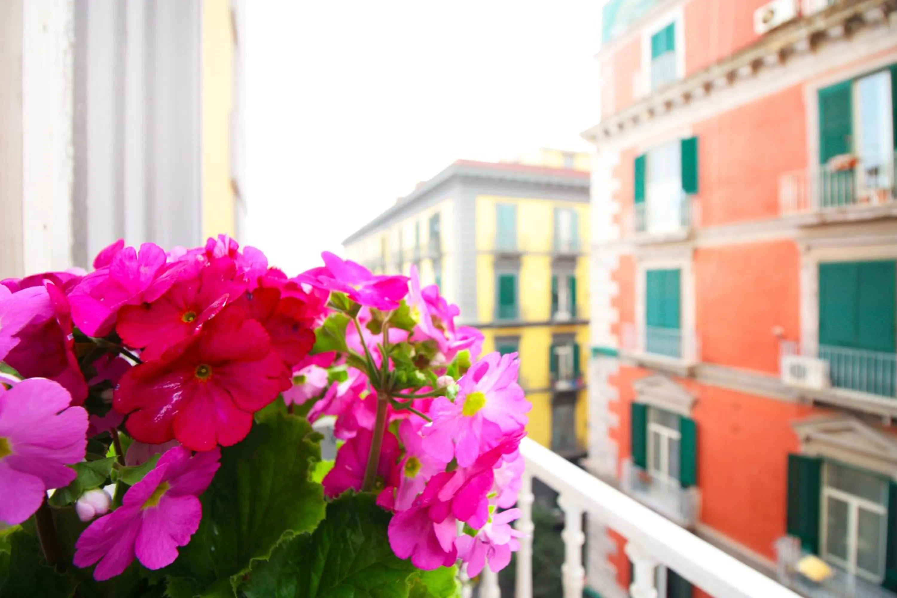 Decorative detail in Le Quinte del Bellini