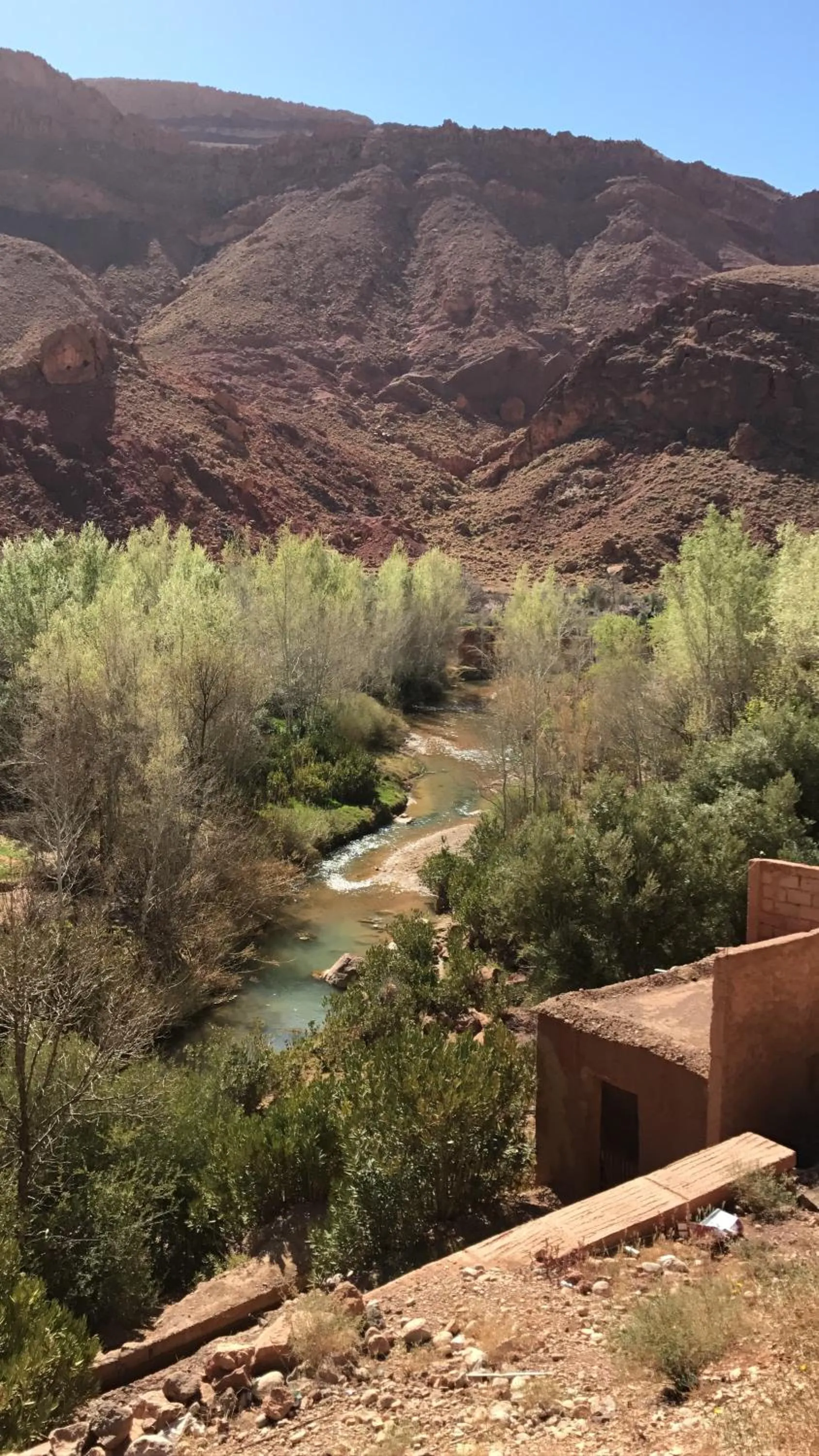 Auberge Restaurant Zahra