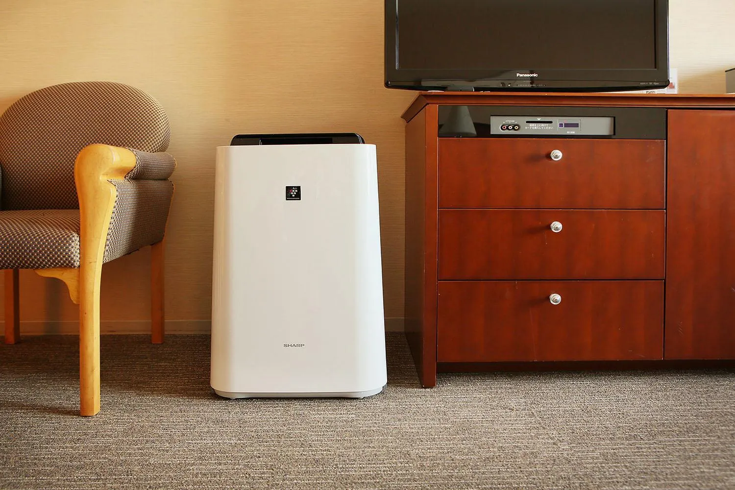 Other in Rembrandt Hotel Ebina