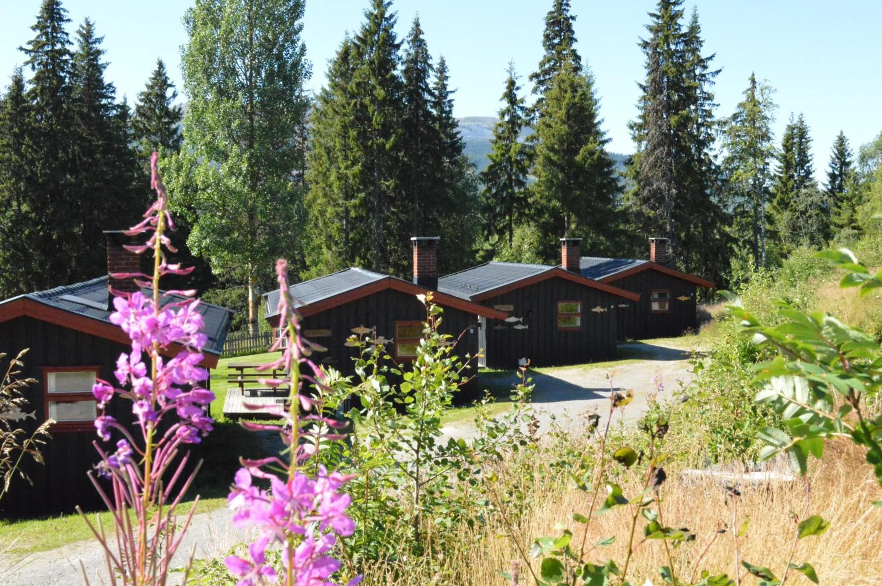 Summer in Trysil Hyttegrend