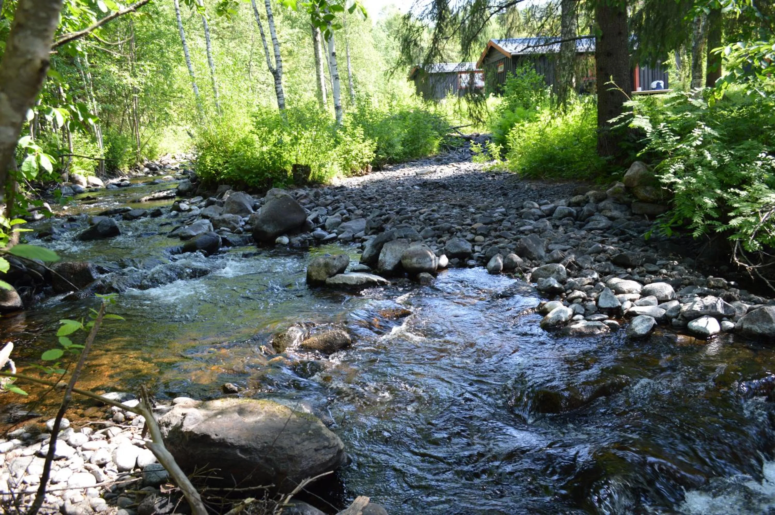 Summer in Trysil Hyttegrend